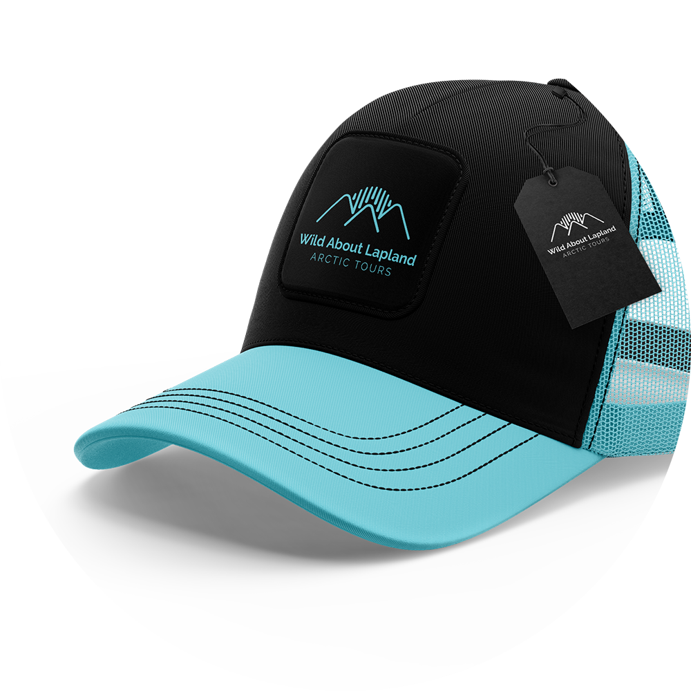 Custom Hats 2 yksiloity-WAL.png