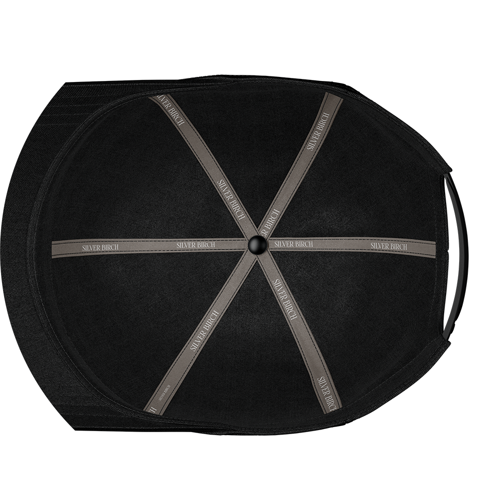 Custom Hats 3 Sisapuolen yksilointi-SilverBirch.png