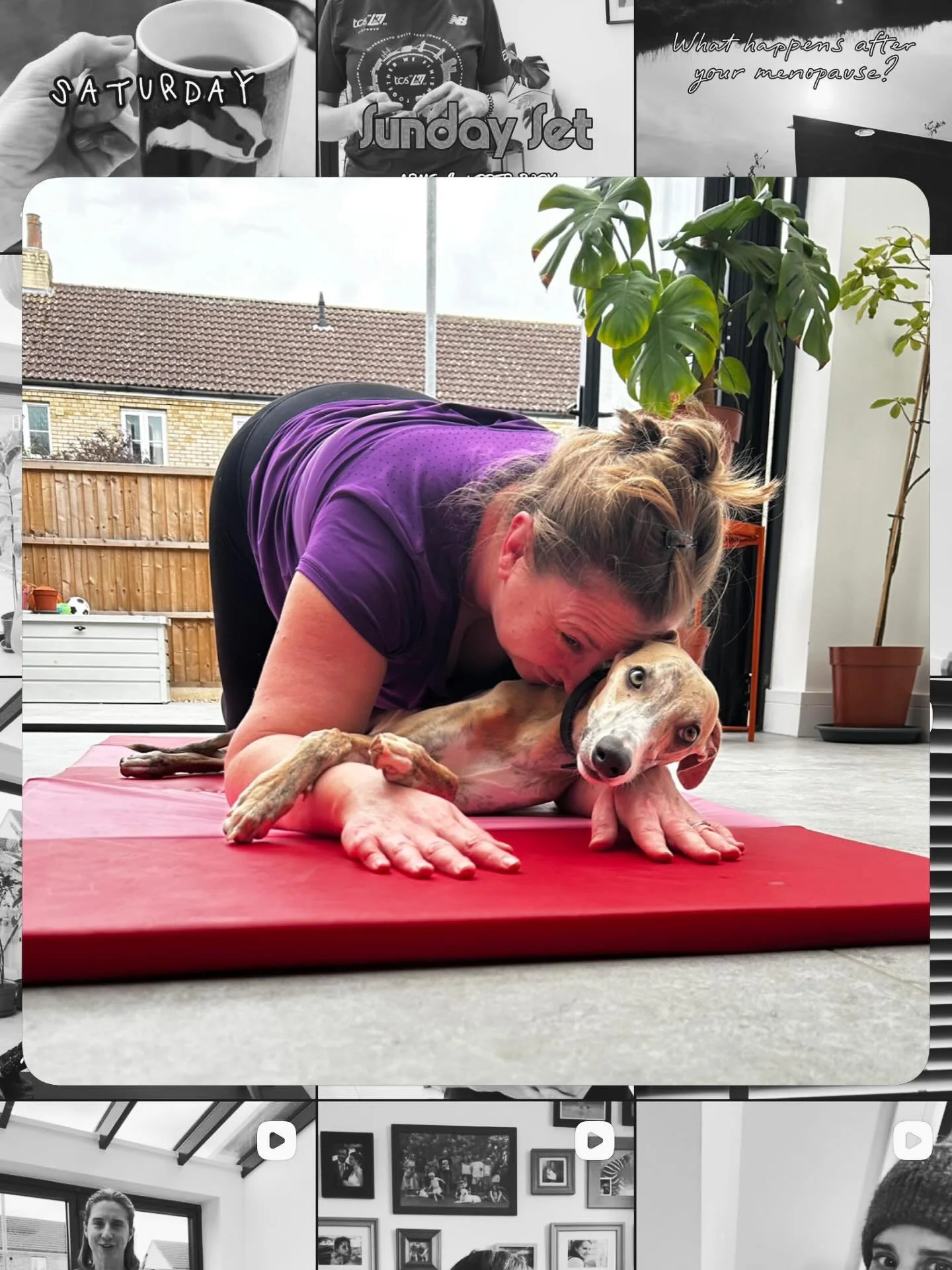 This was too cute not to give it a place on the grid 😍

This pup often sticks around when clients are here (if they&rsquo;re happy for it be the case of course) and he won&rsquo;t miss an opportunity for some cuddles!

Training with me is relaxed an