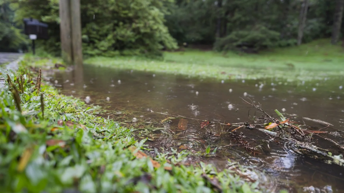 When My Psoas Became a Messenger For Anxiety