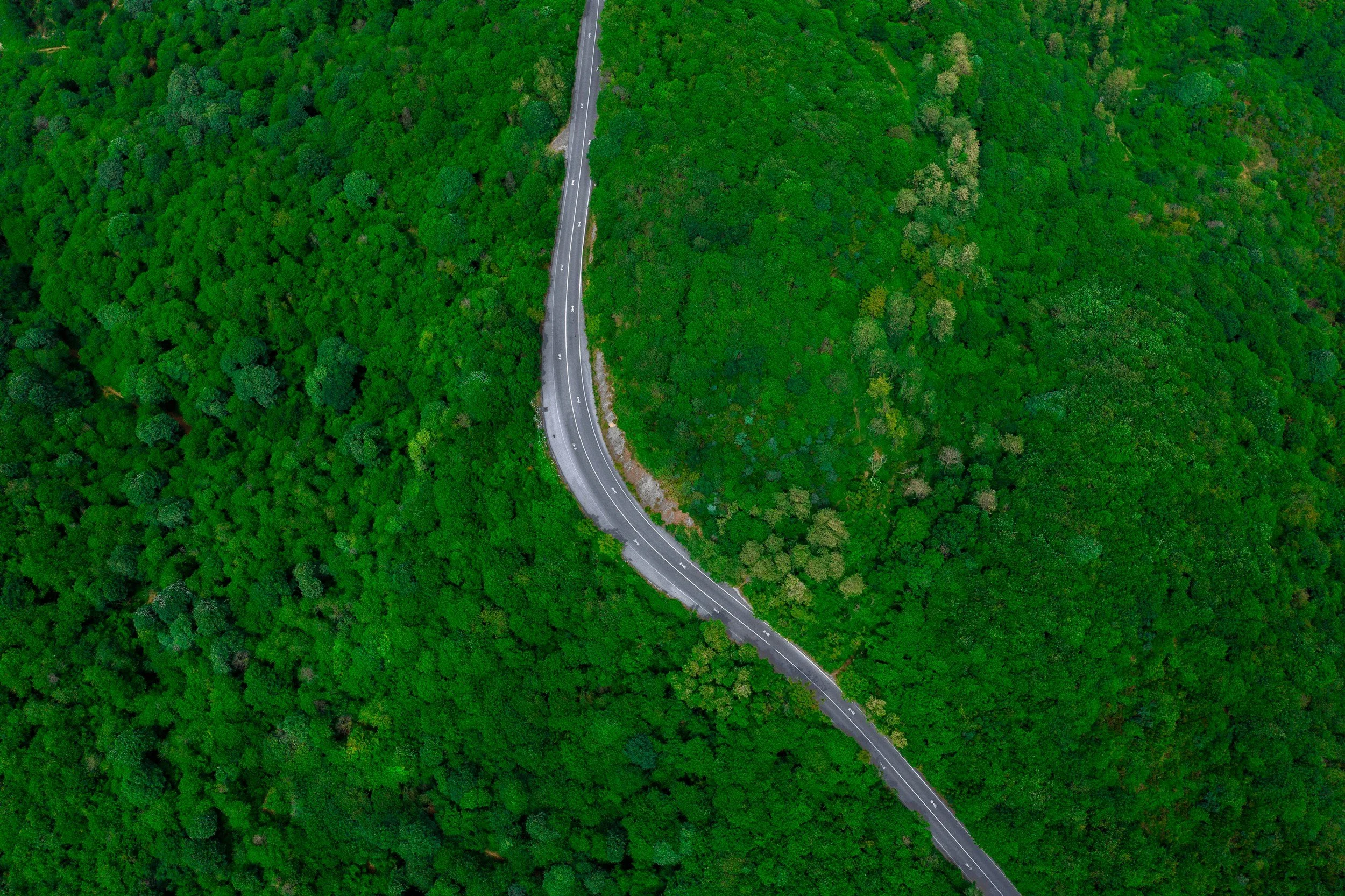 unsplash-image-hOTCOc4c9Uw.jpg