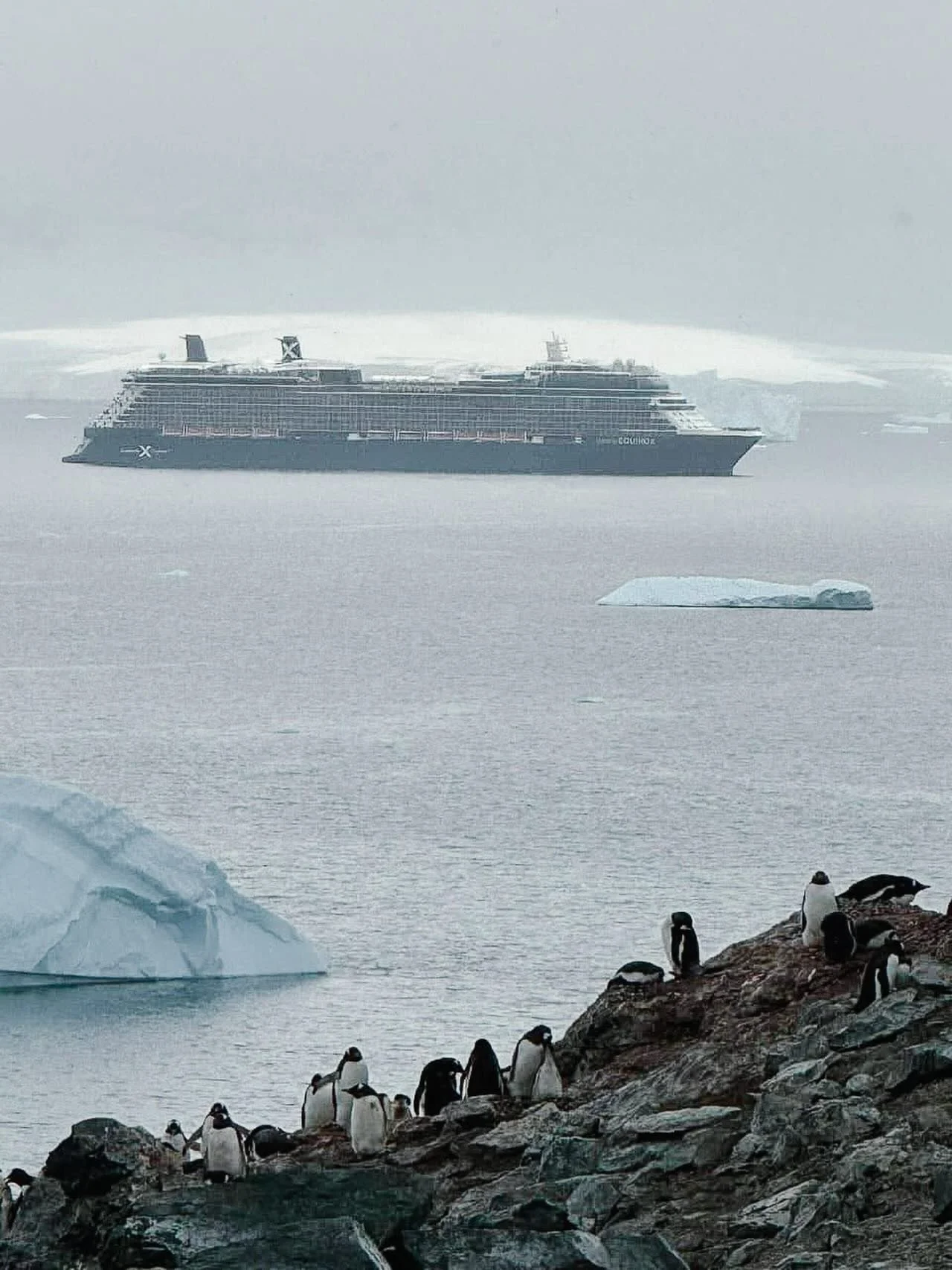 Tomorrow is our last day of our cruise and we&rsquo;re just so thankful! Truly a once in a lifetime experience, something we will not be forgetting anytime soon!
.
Another ship took this photo of our ship, the penguins were all watching us watching t