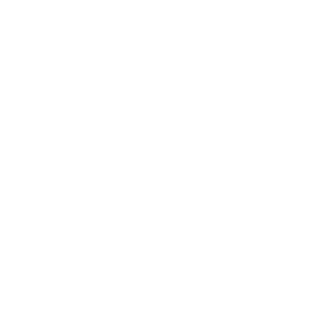 maid_logo_white.png