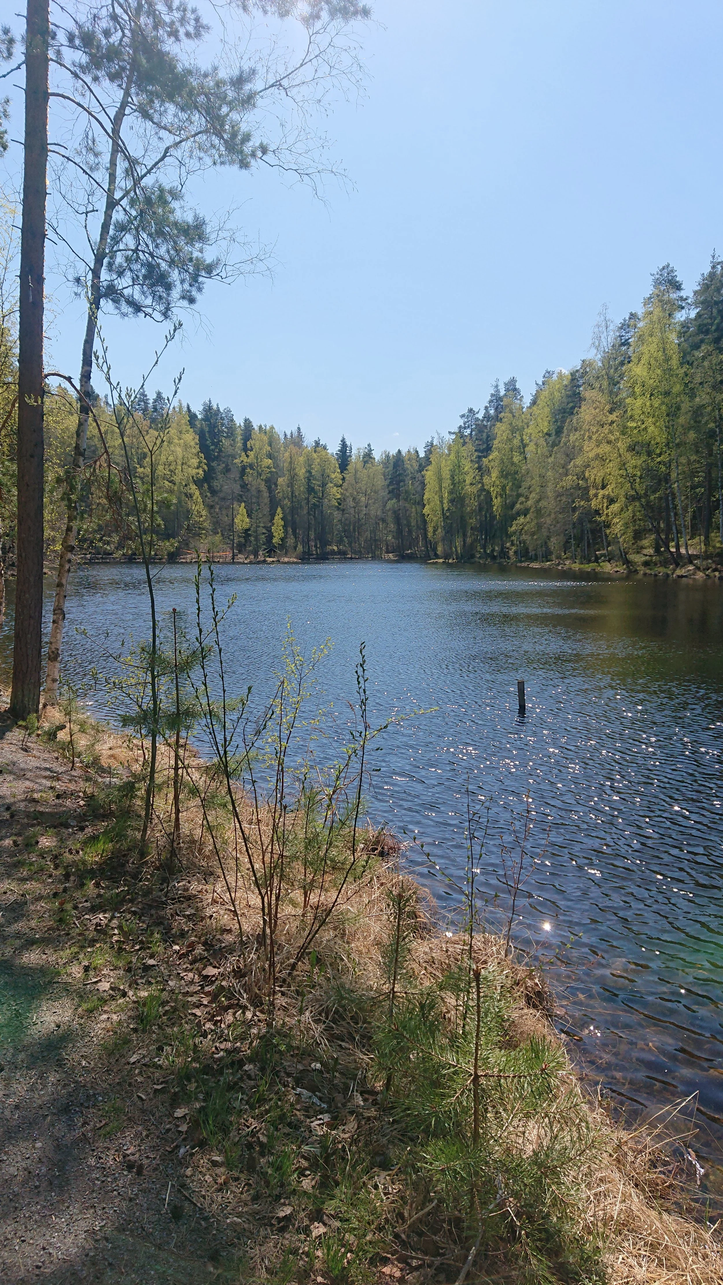 luonto voimavarana ja parantajana -retriitti