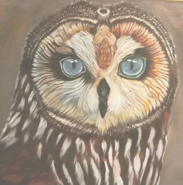 Hoitohuone kuunsilta asiakaspalaute