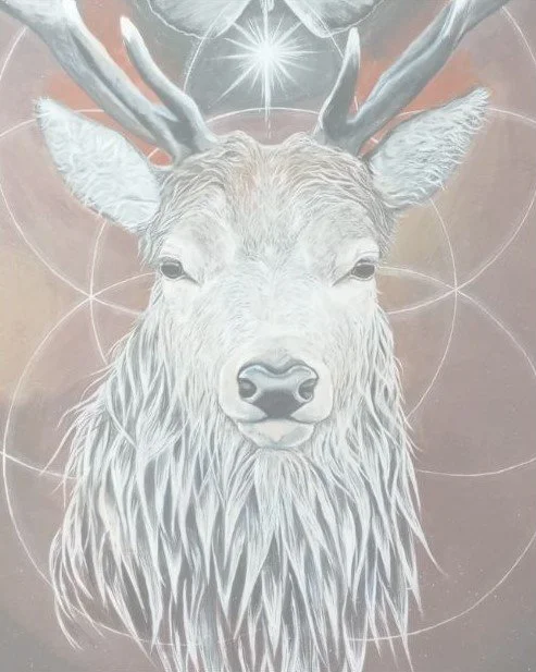 Hoitohuone kuunsilta asiakaspalaute peura