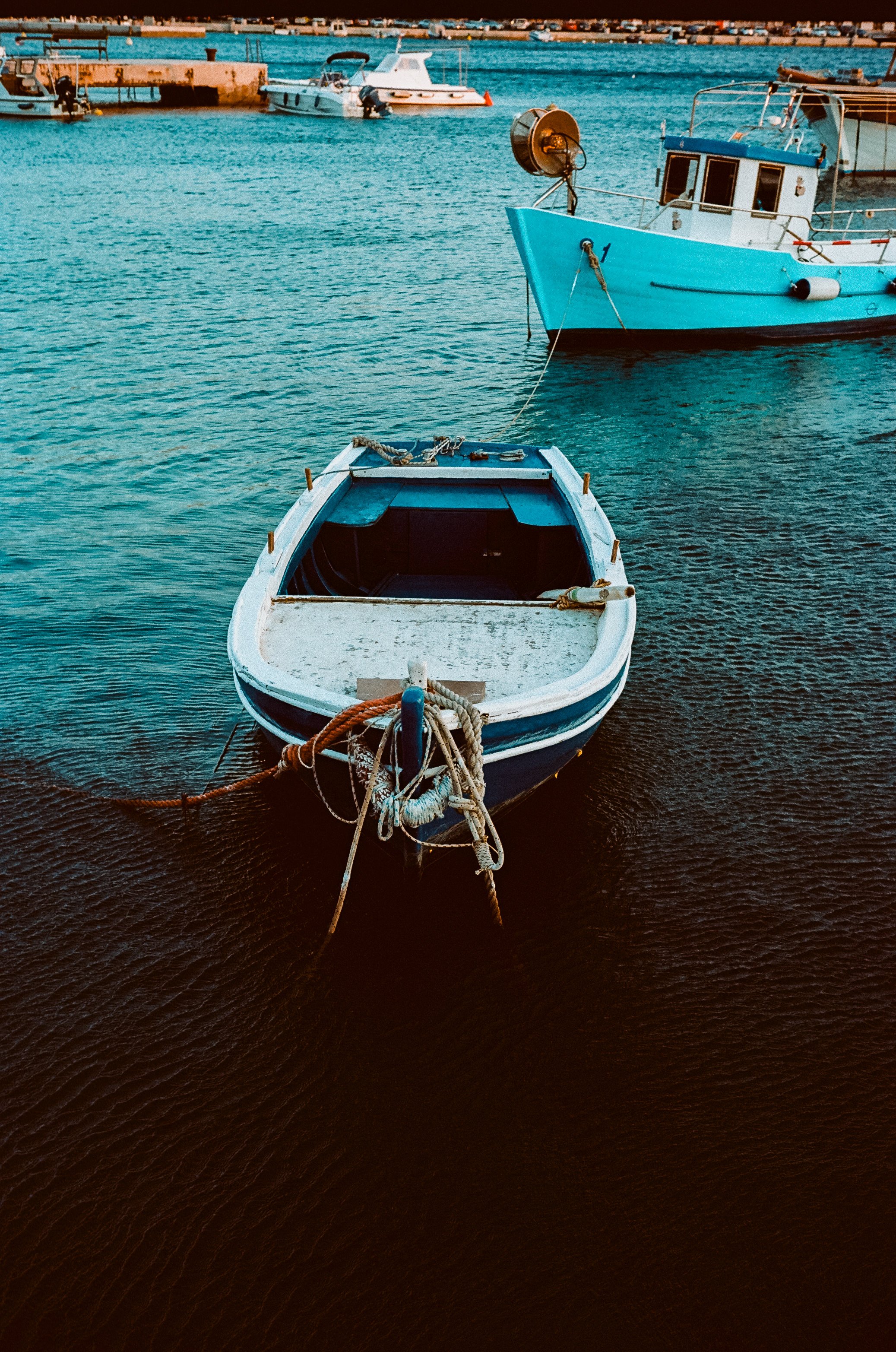 RT Leica-049 copy.jpg