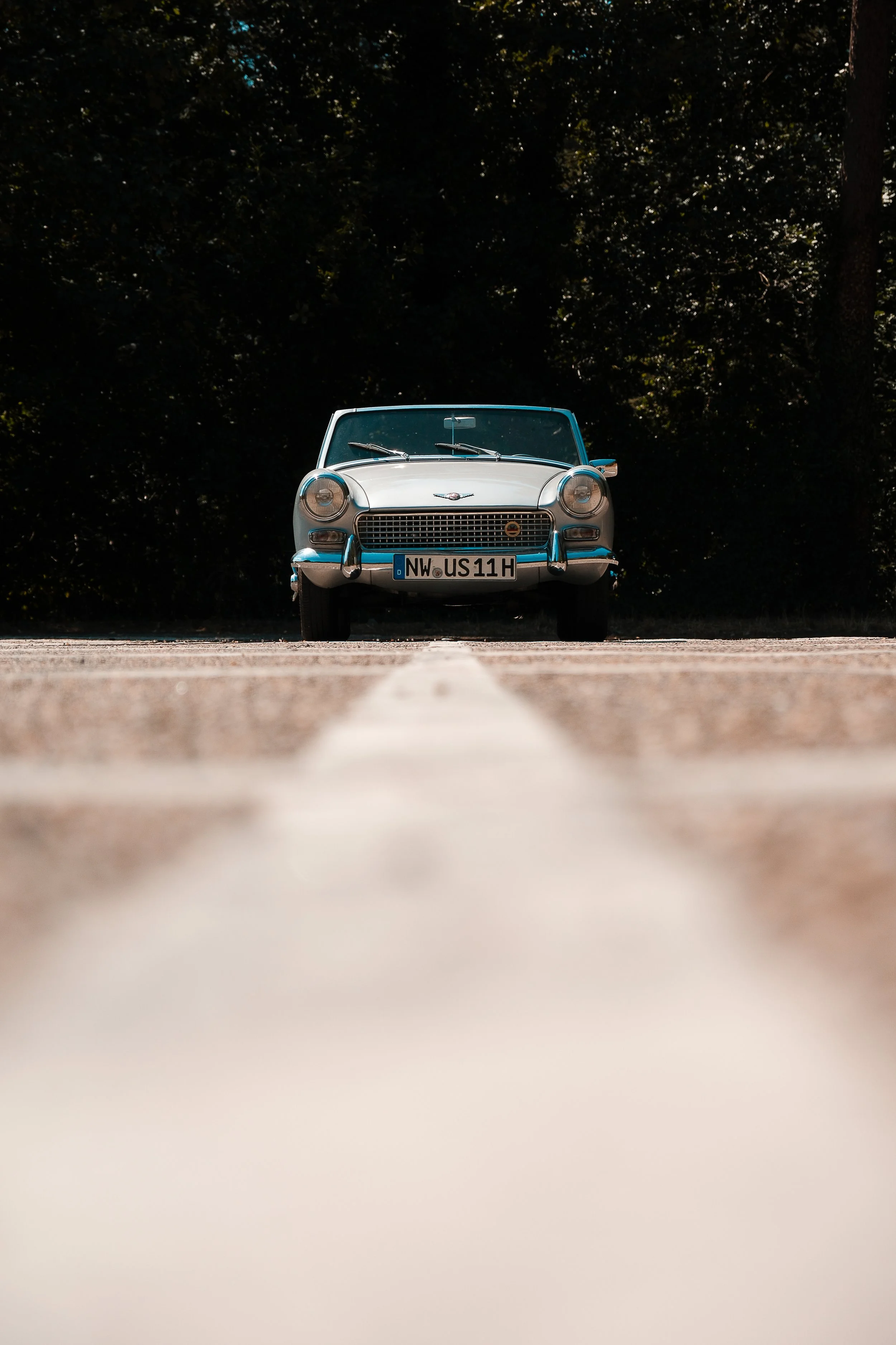 Austin_Healey-16.jpg