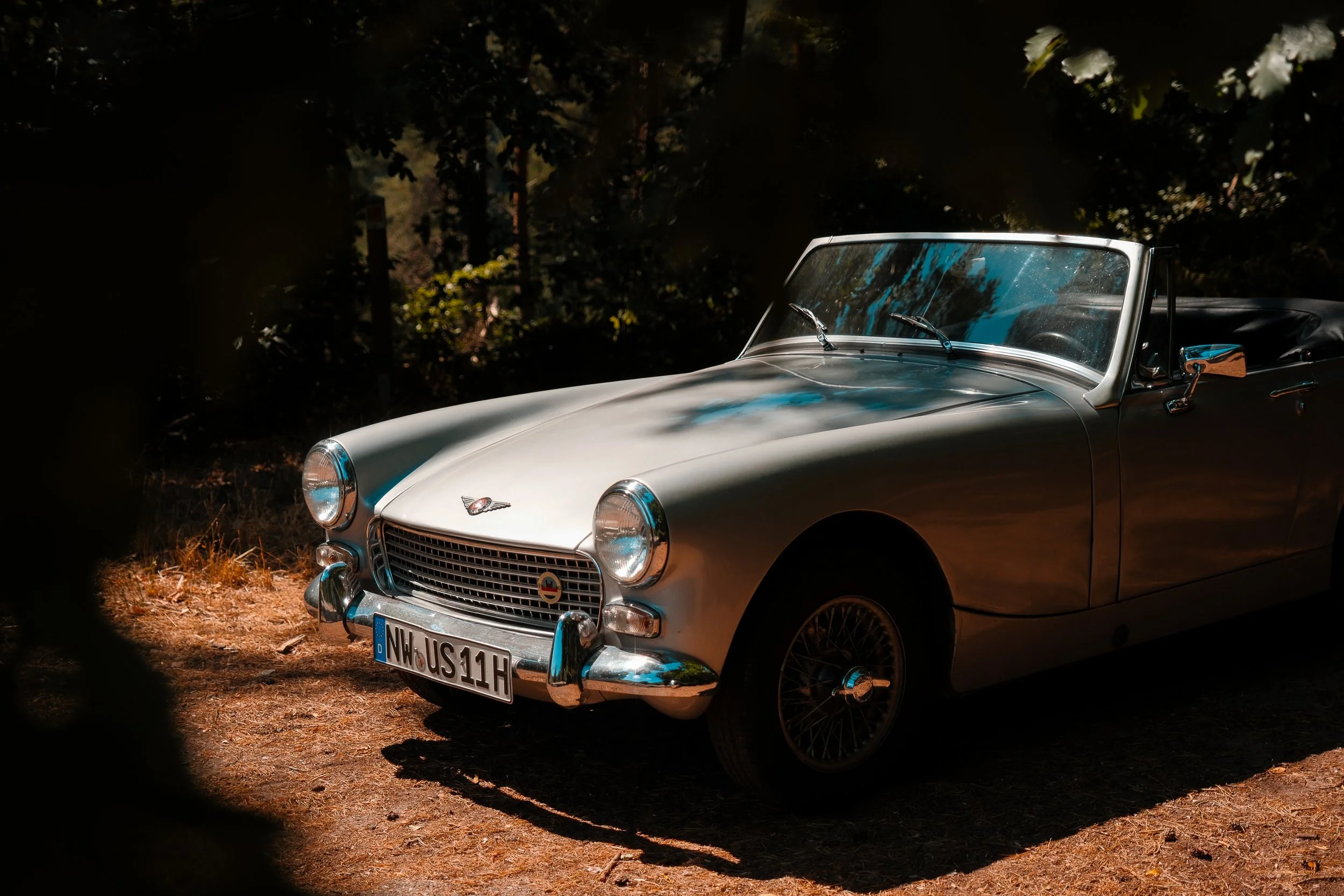 Austin_Healey-22.jpg