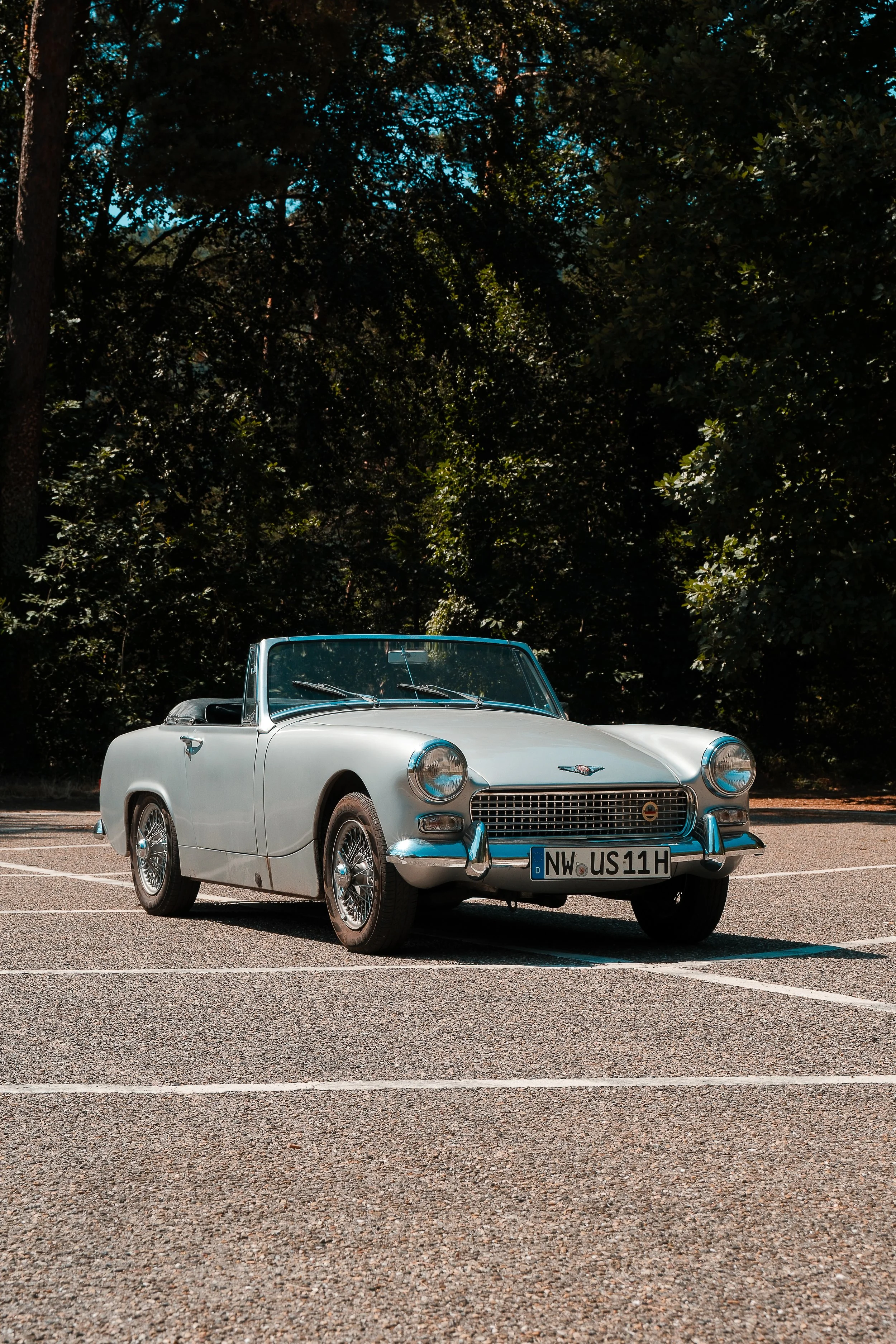 Austin_Healey-12.jpg