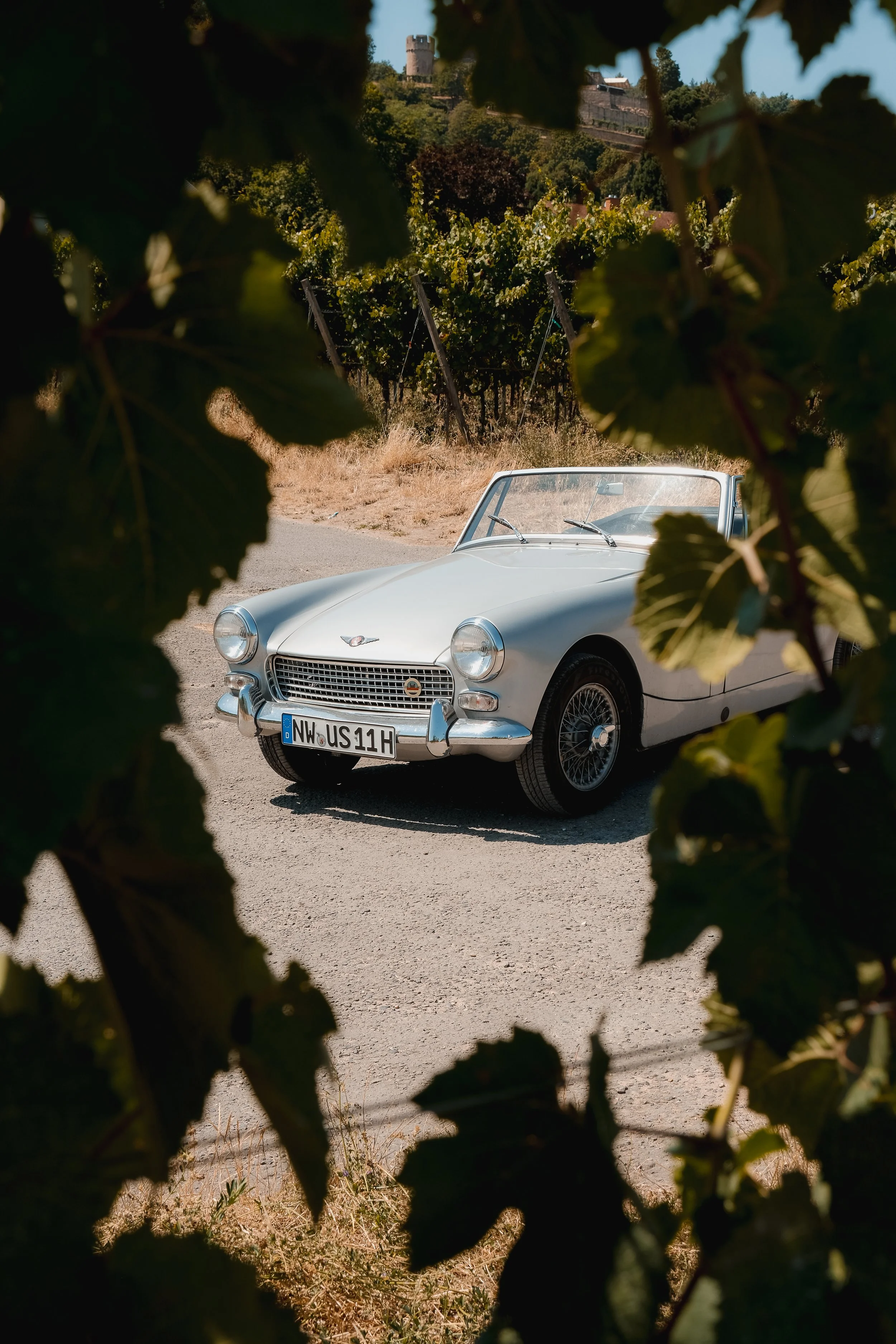 Austin_Healey-75.jpg