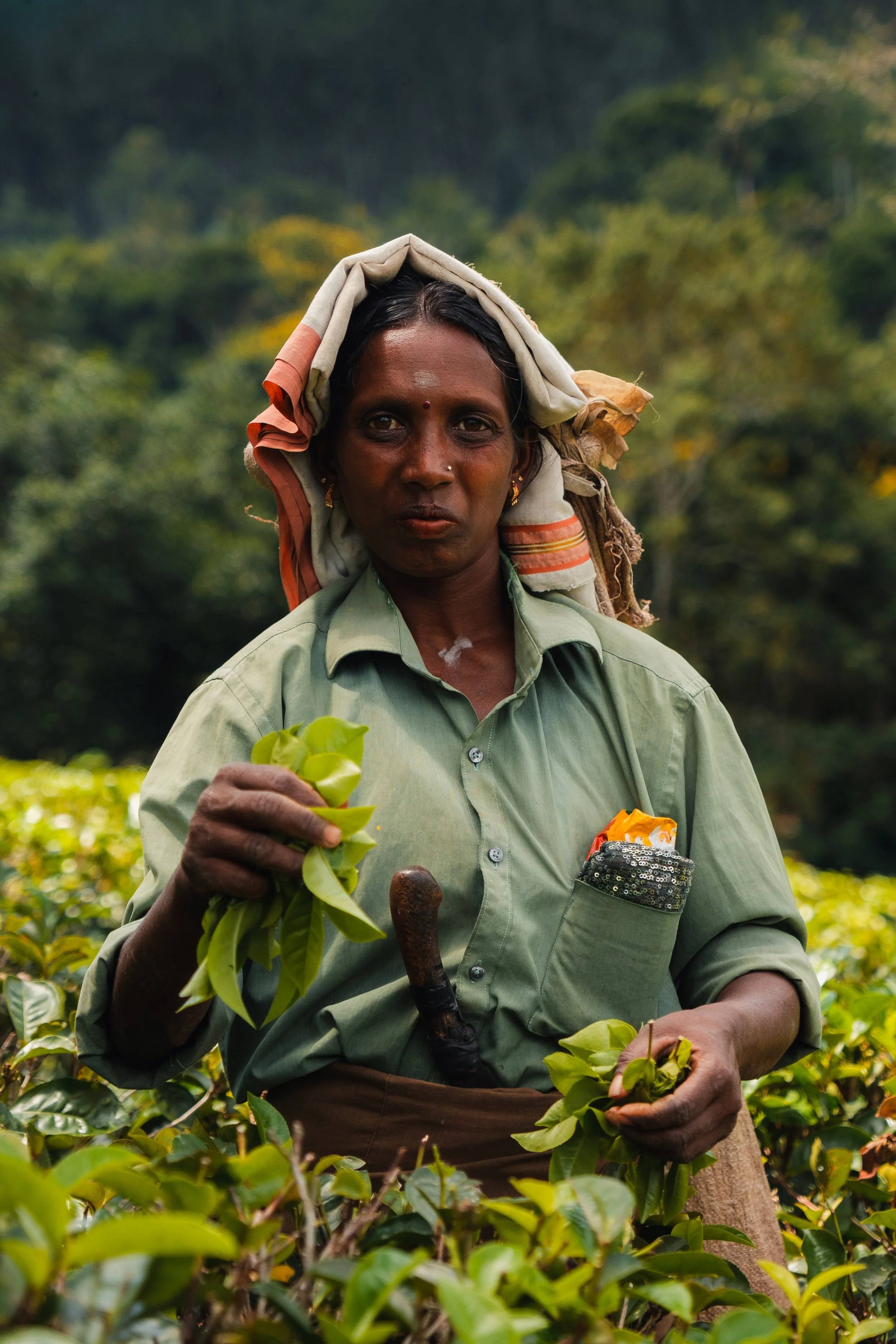 SRI LANKA