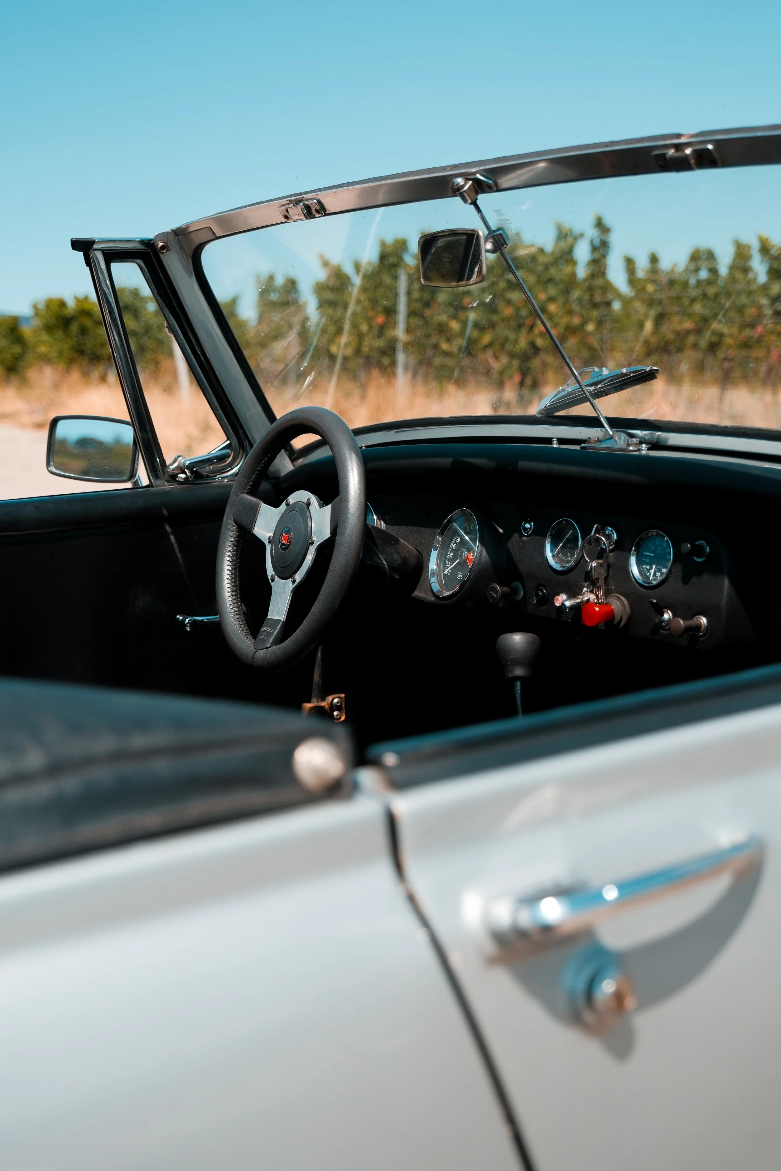 Austin_Healey-37.jpg