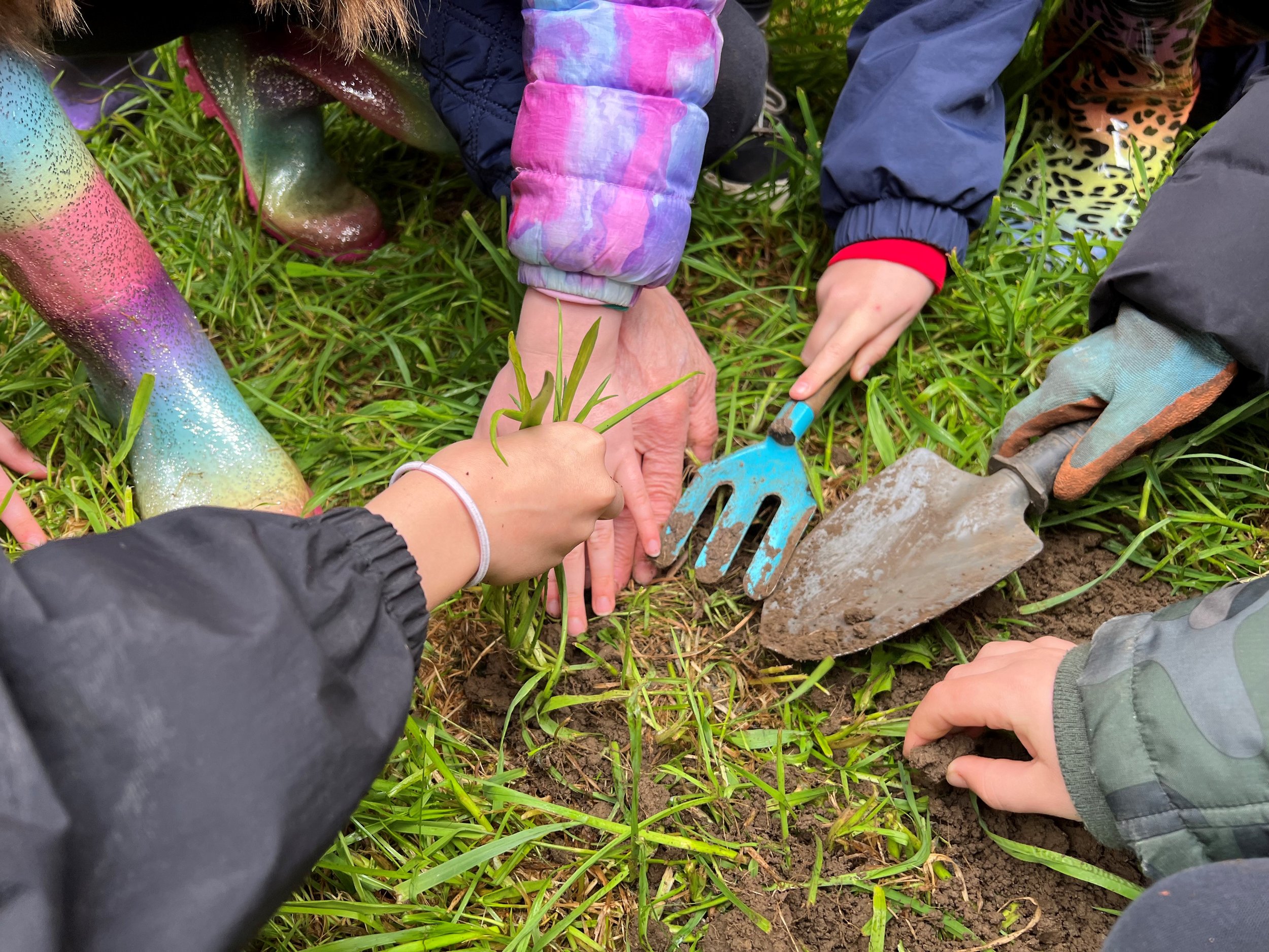 Biodiversity Enhancements