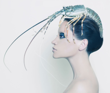 A woman with sleek black hair and bold makeup, with a large lobster perched on her head, creating an artistic and surreal image.