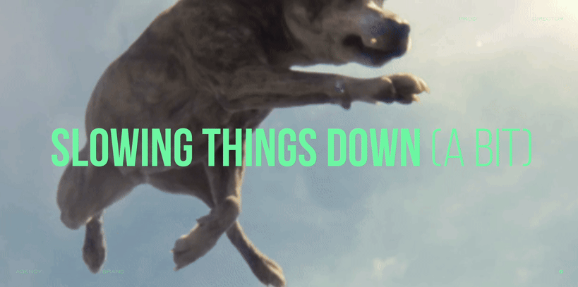 auto6_meg hutchison_visual researcher - 01.gif