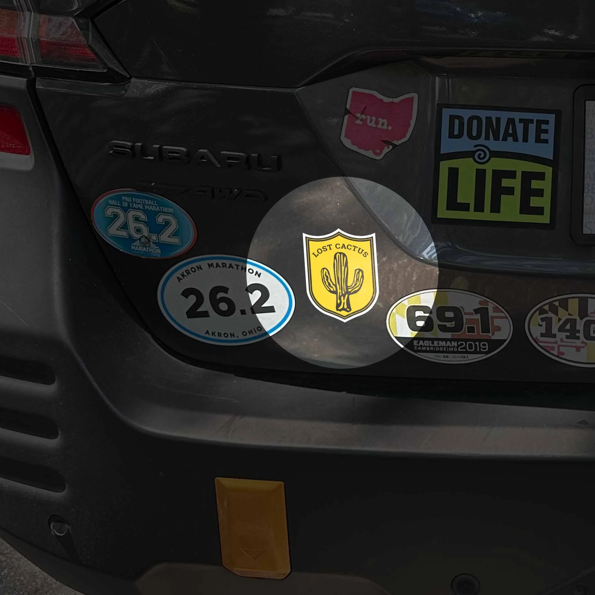 021_LC_PAT_STI 7.jpg