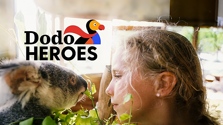 A young girl and a koala sharing a leafy snack, with the Dodo Heroes logo in the top left corner.