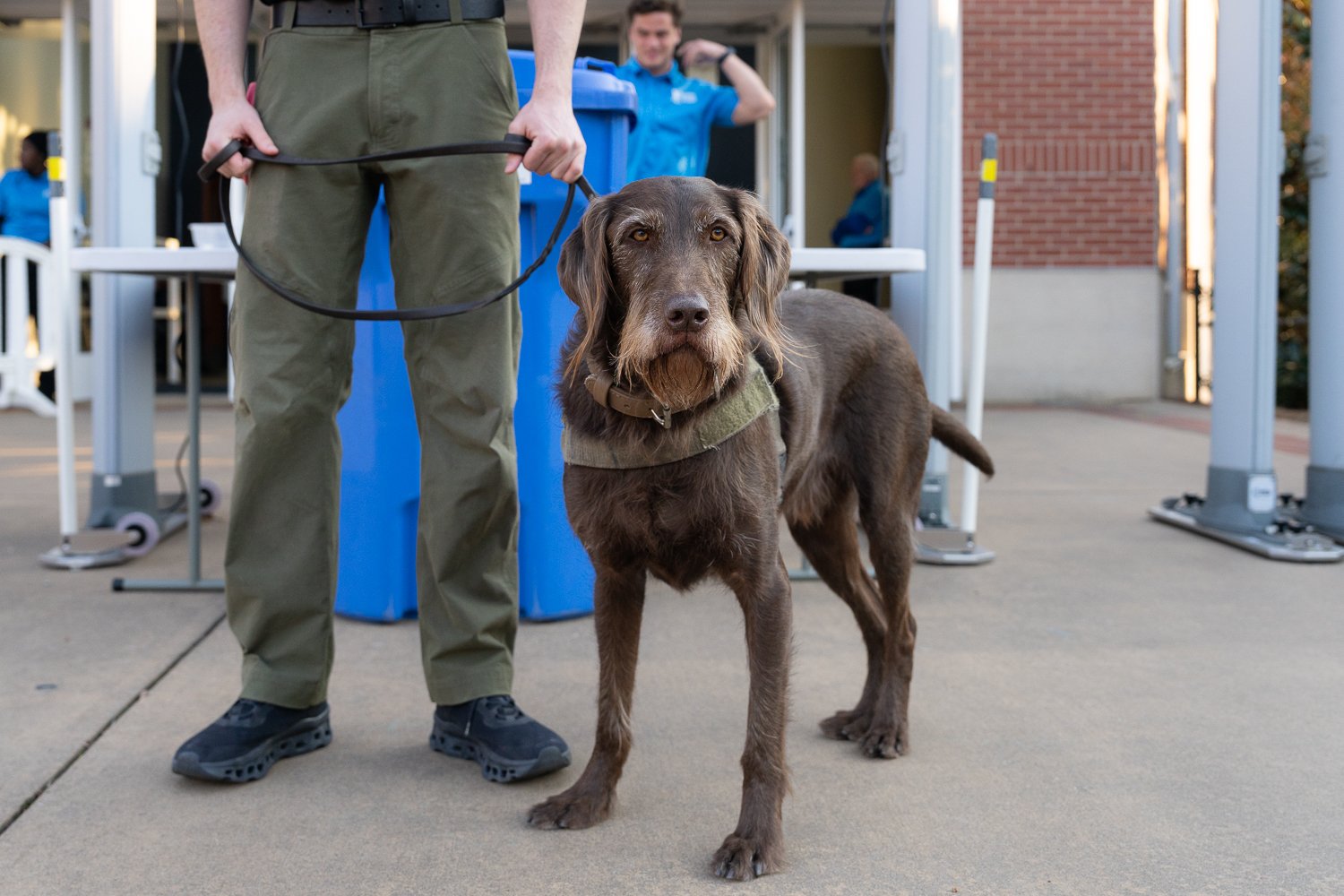 Guide dog under control on a leash, standing beside a person wearing green pants, with two people and a building in the background.