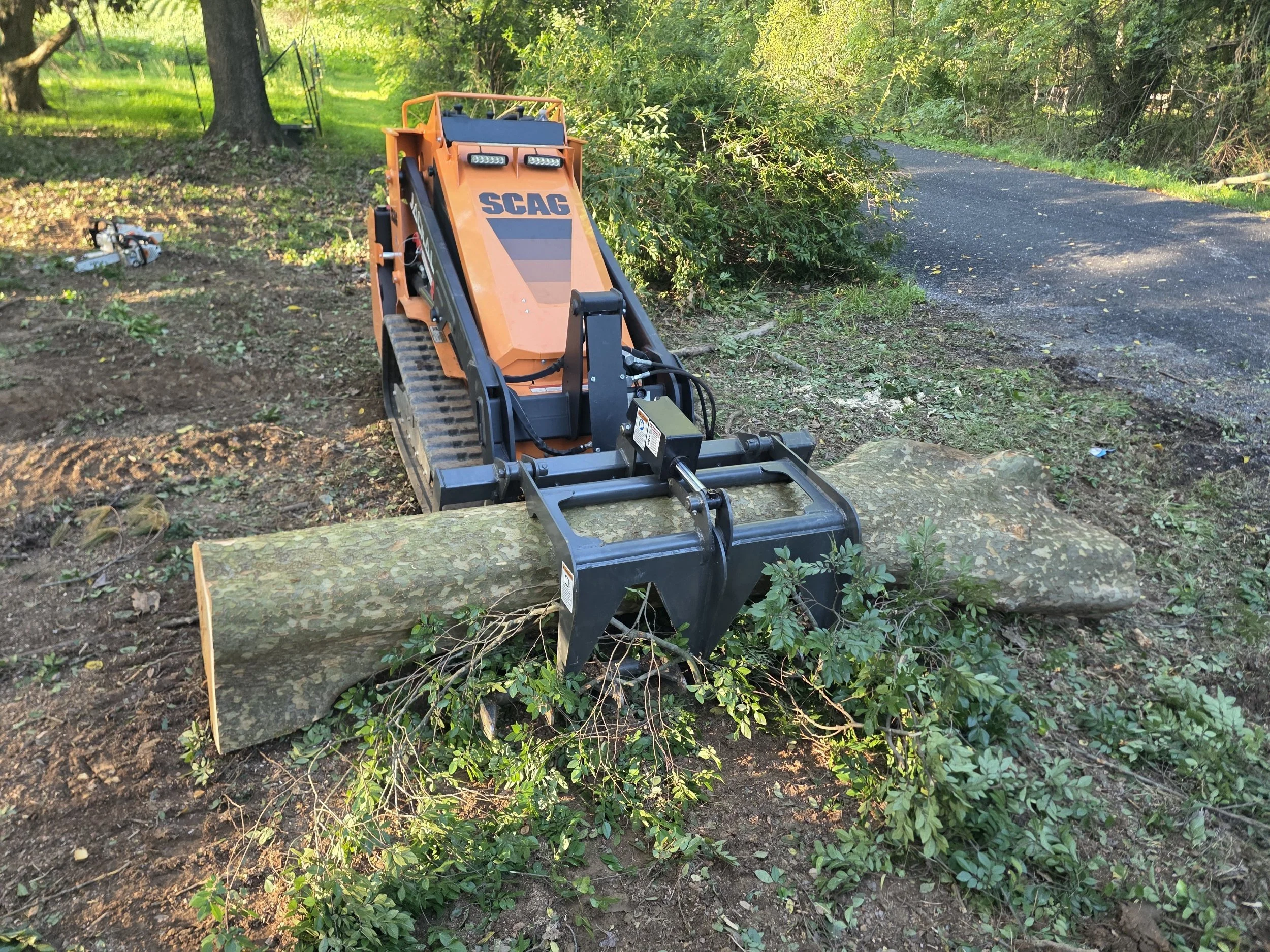 A small orange construction vehicle, possibly a skid-steer loader, is parked on a forested area with a fallen tree in front of it. The scene is outdoors with trees and greenery surrounding the area.