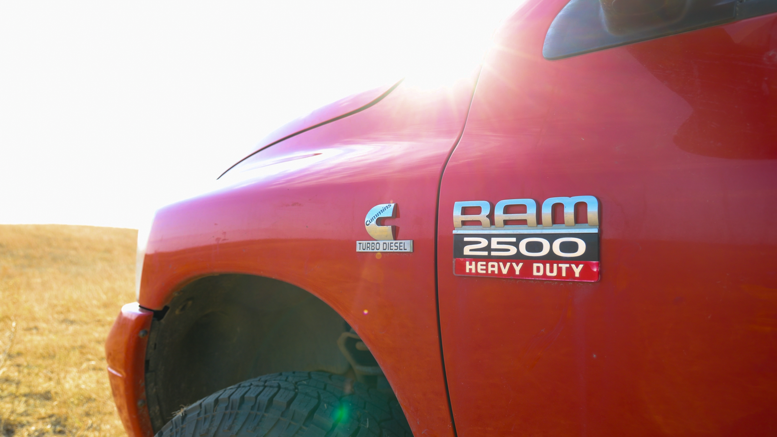 IMG_2647E1.png