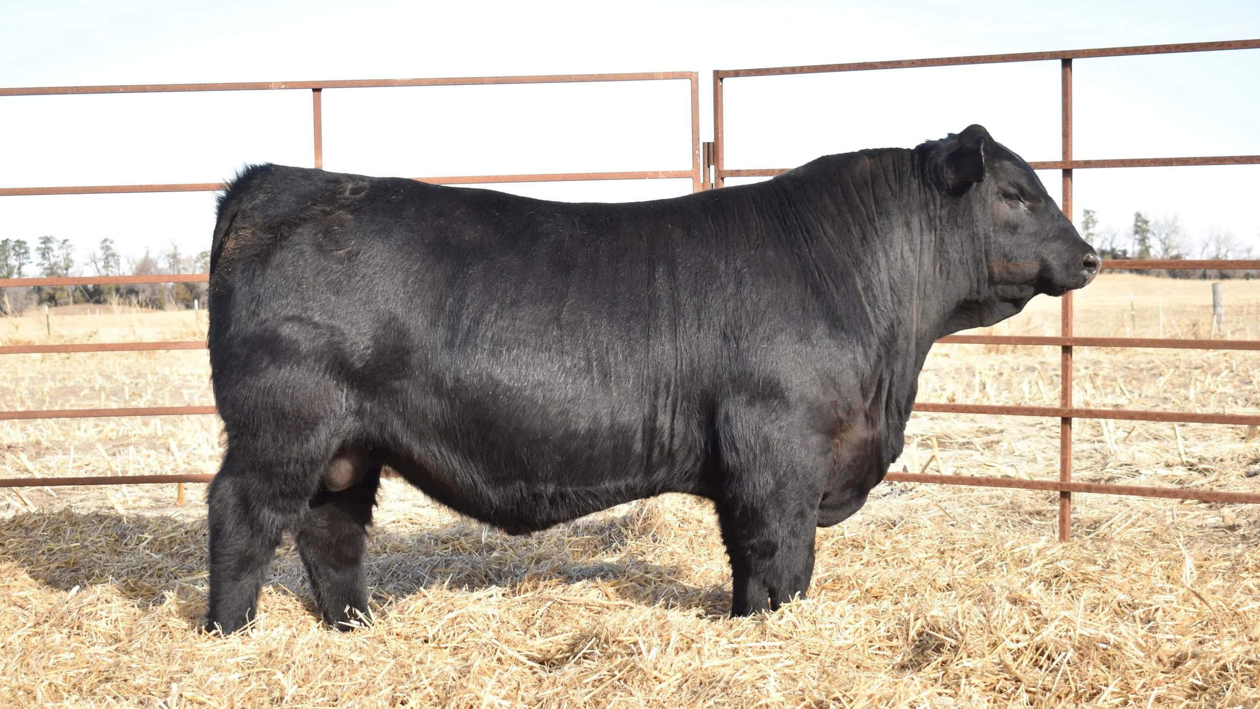 2023 Lot 3 6741C.JPG
