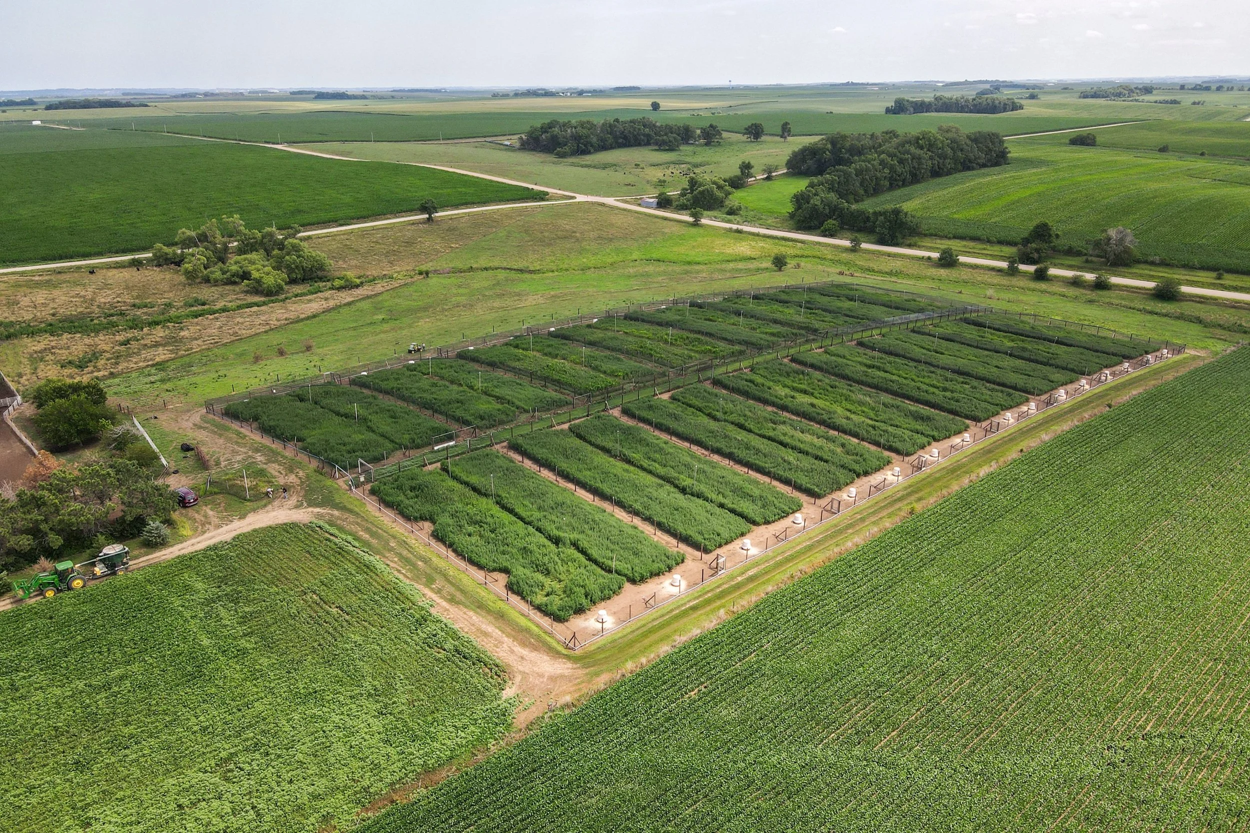 DJI_0259.jpg