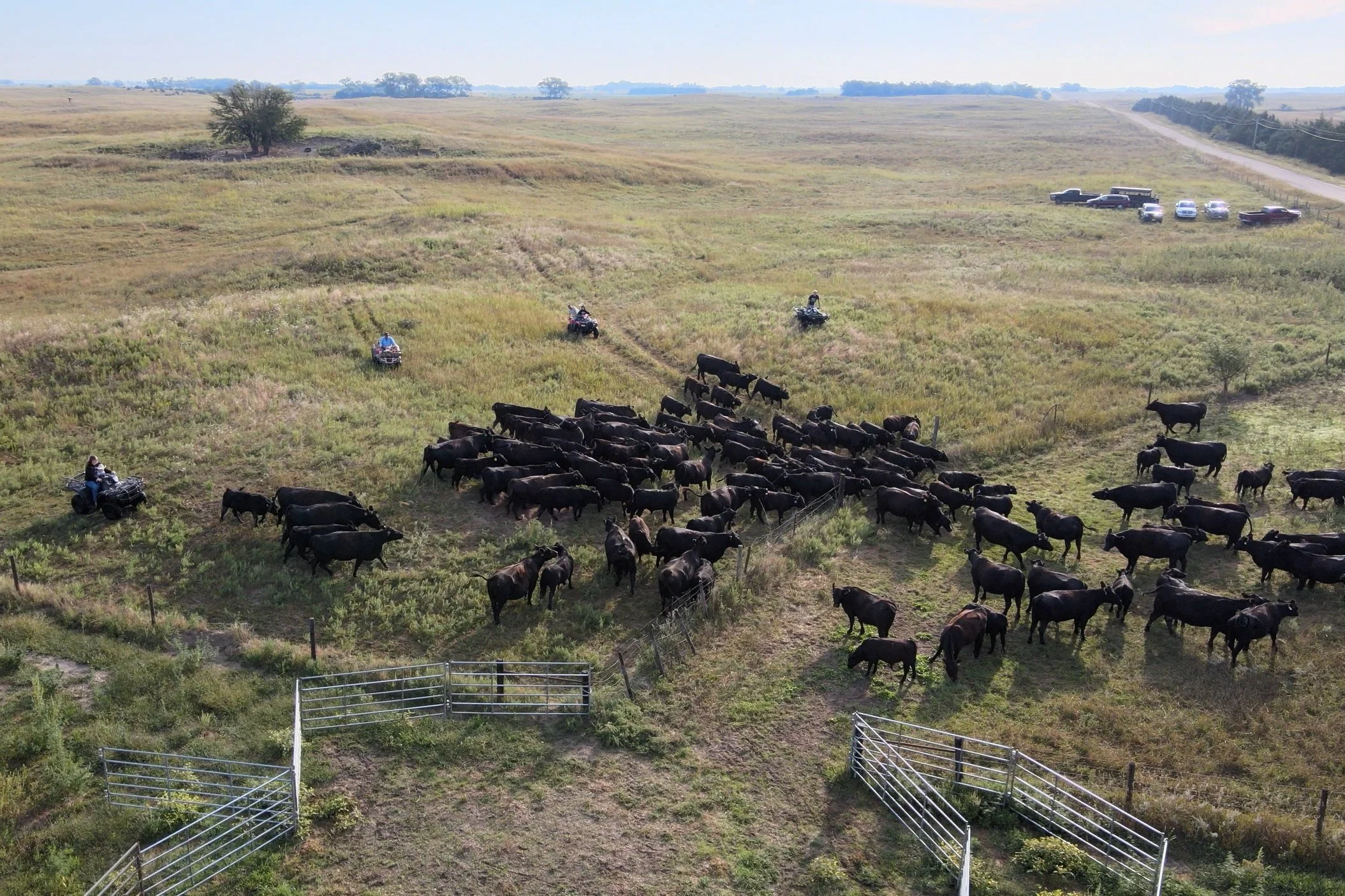 PASTURE+ROUNDUP.MP4.00_03_23_29.Still001.jpg