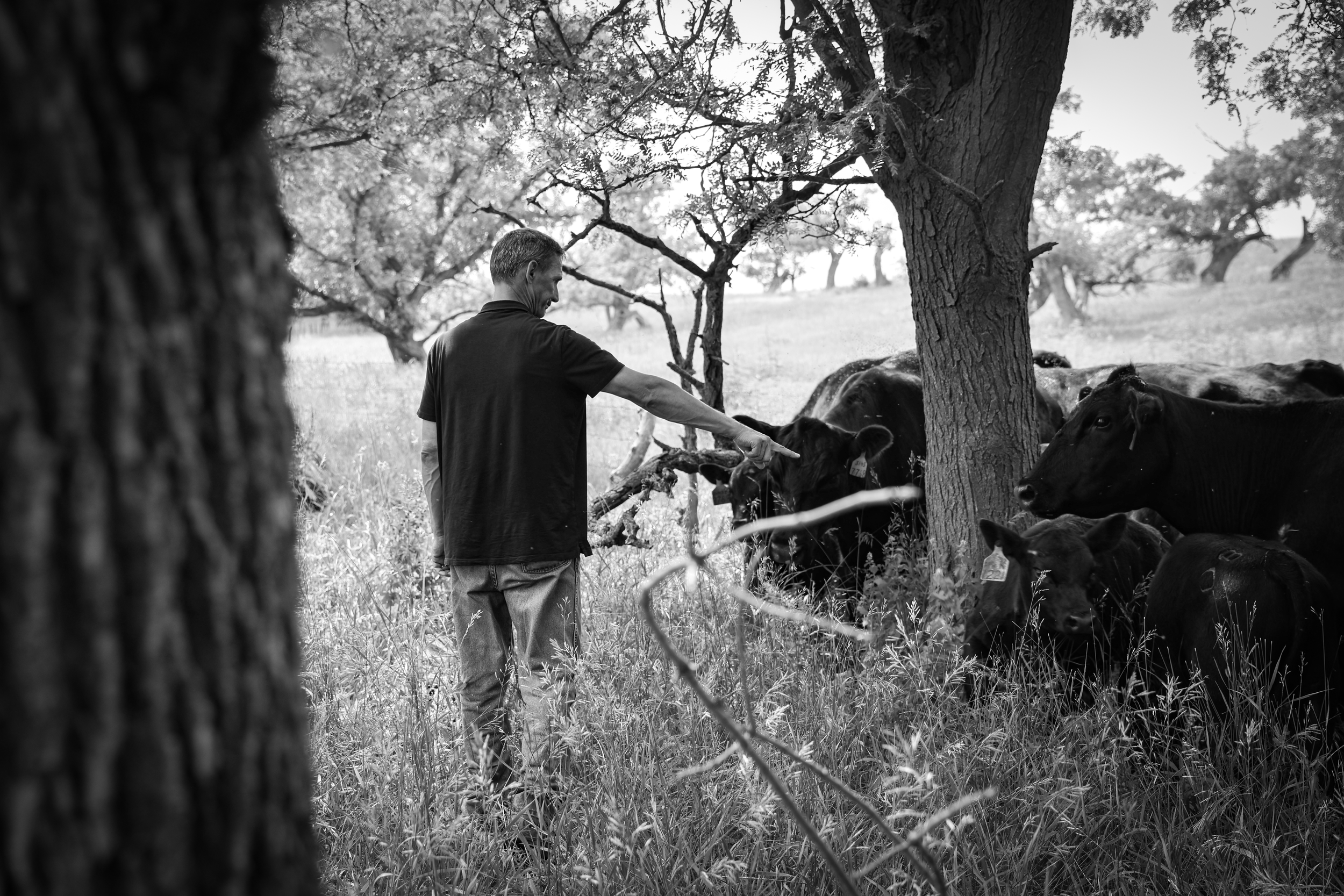 IMG_0476BW.png