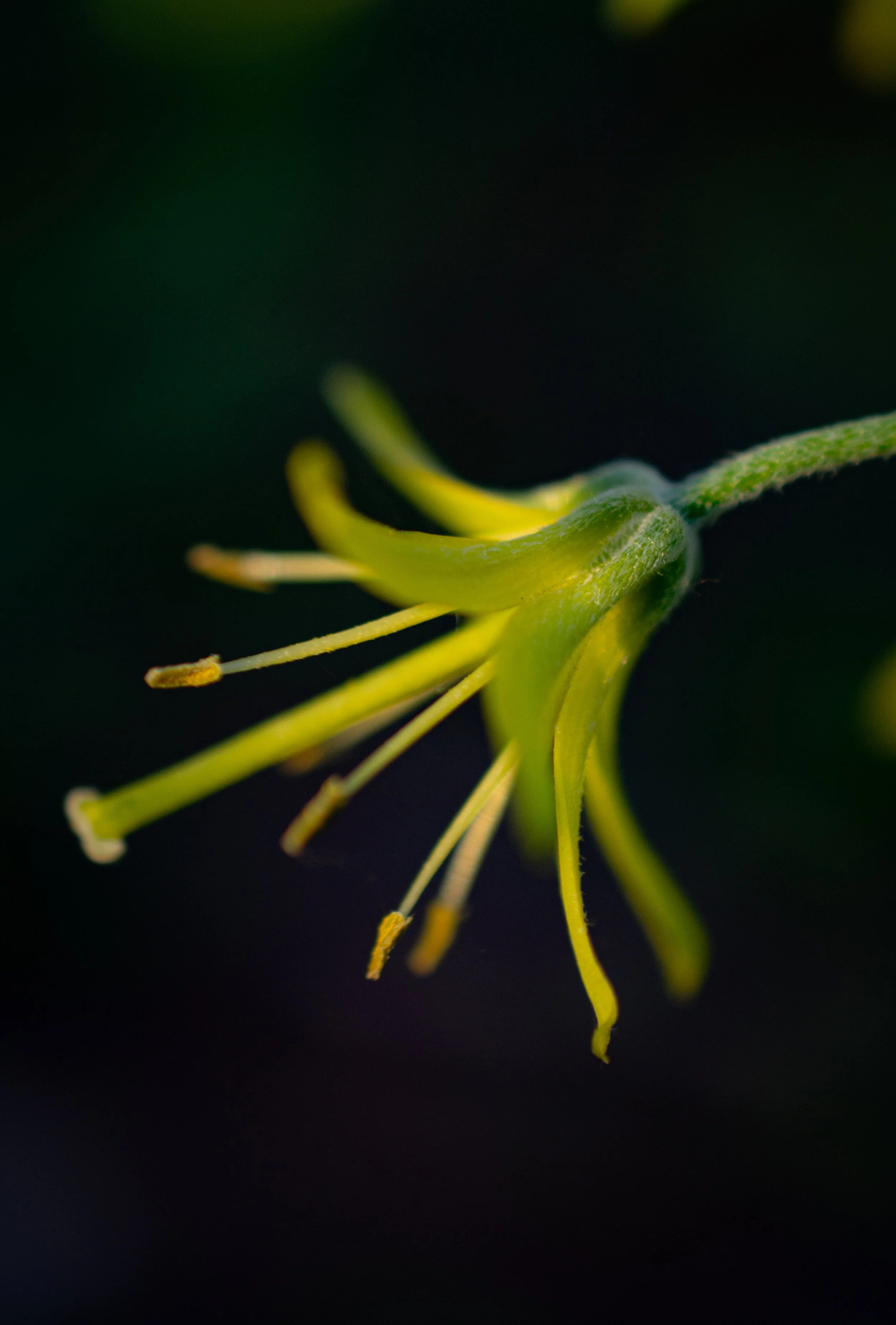 DSC_7547.jpg