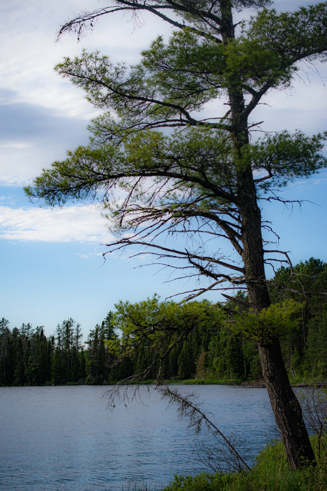 DSC_7664-2.jpg