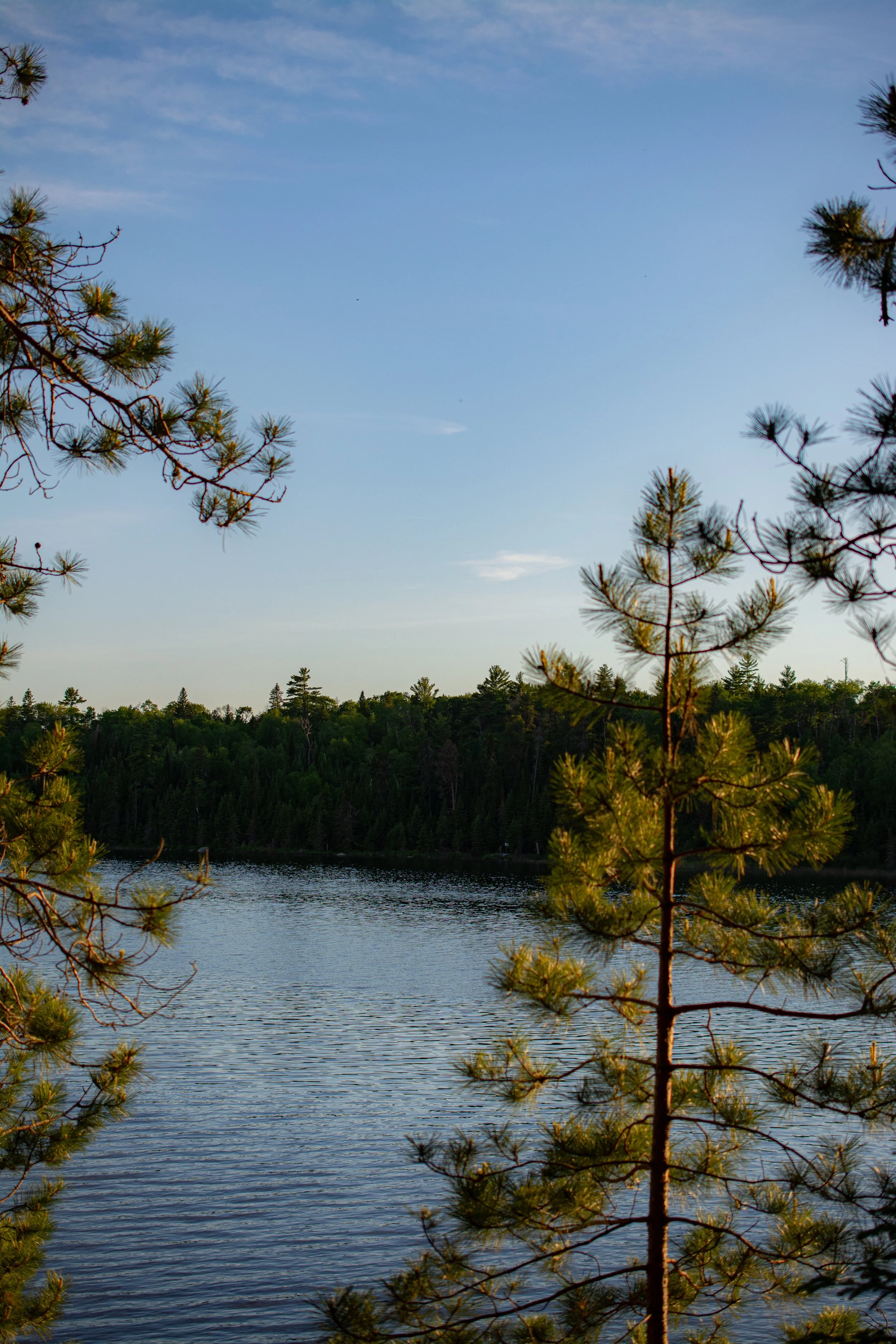 DSC_7565.jpg