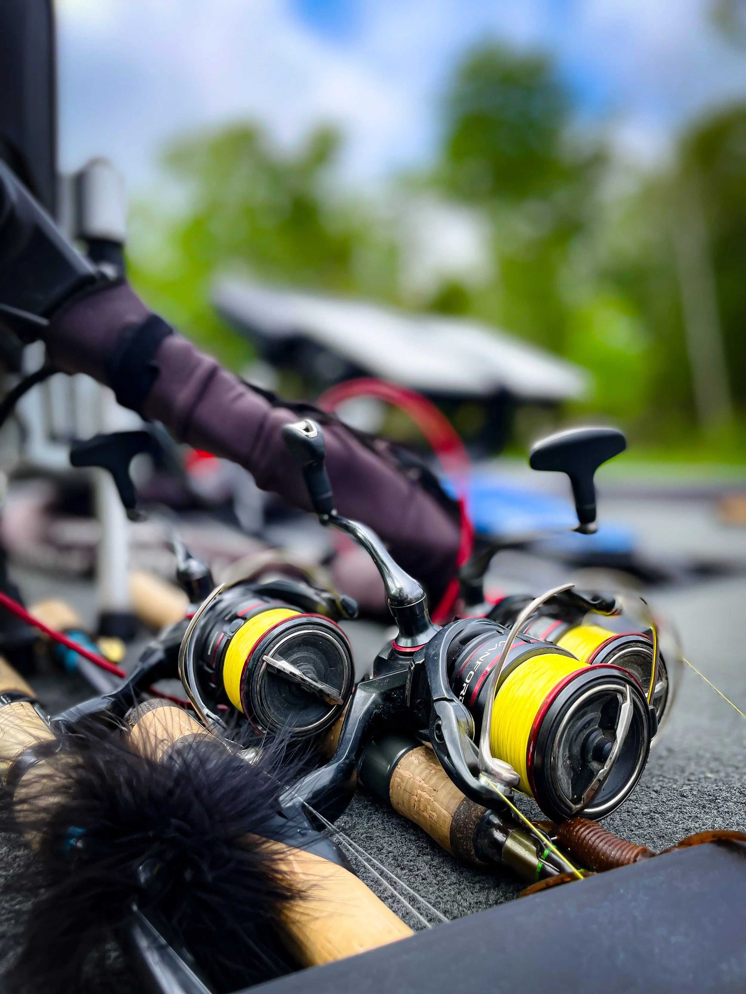 73447FBA-E382-4CB7-AC25-1FA8A192C586 2.JPEG