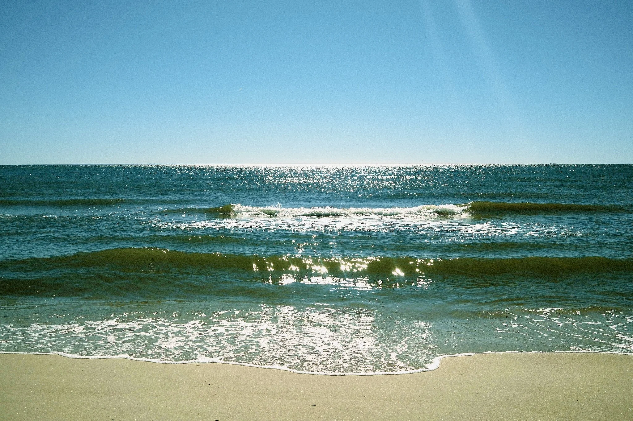 DSCF2939.jpg