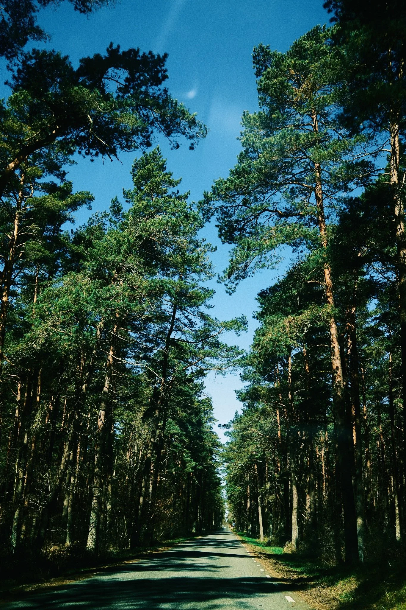 DSCF2942.jpg