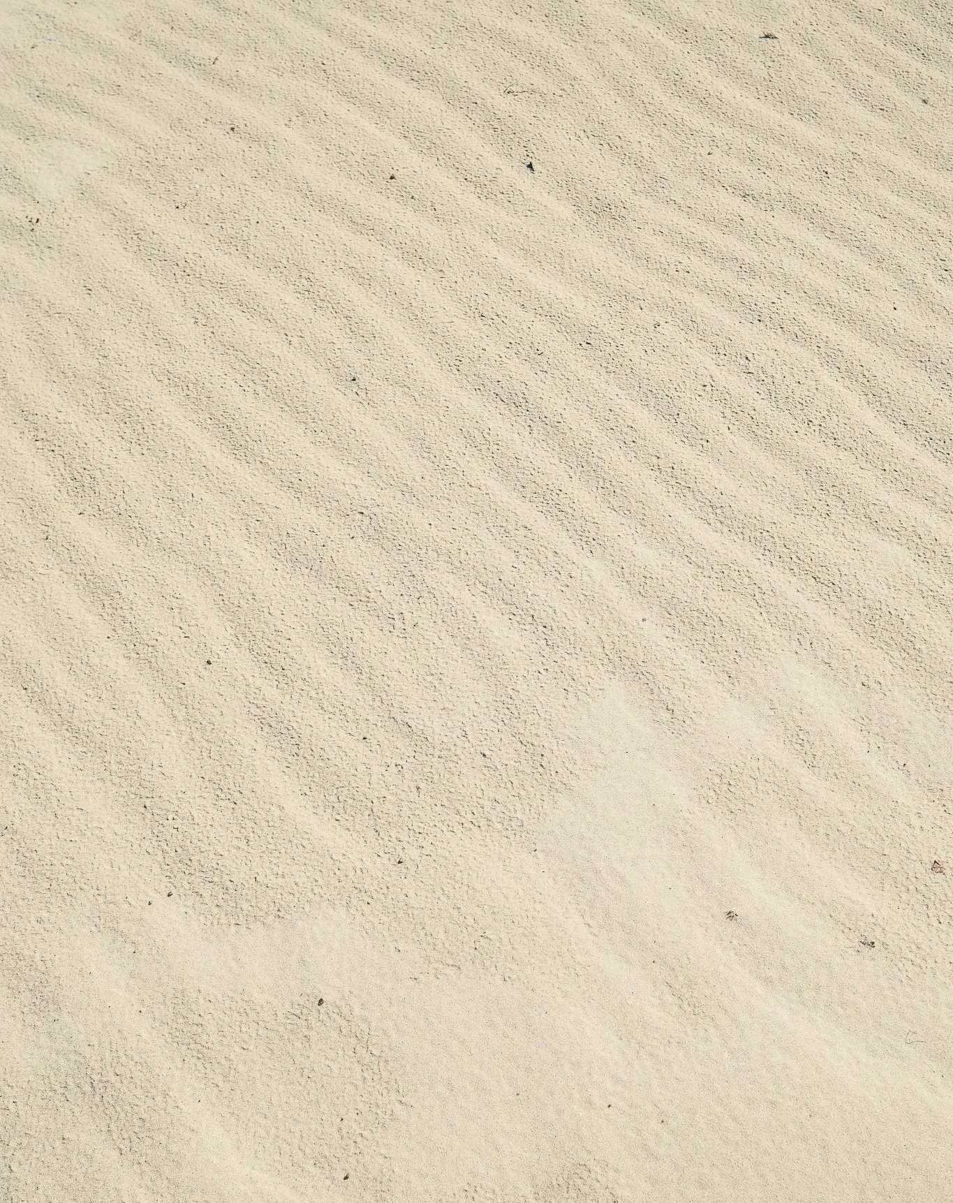 DSCF2869.jpg