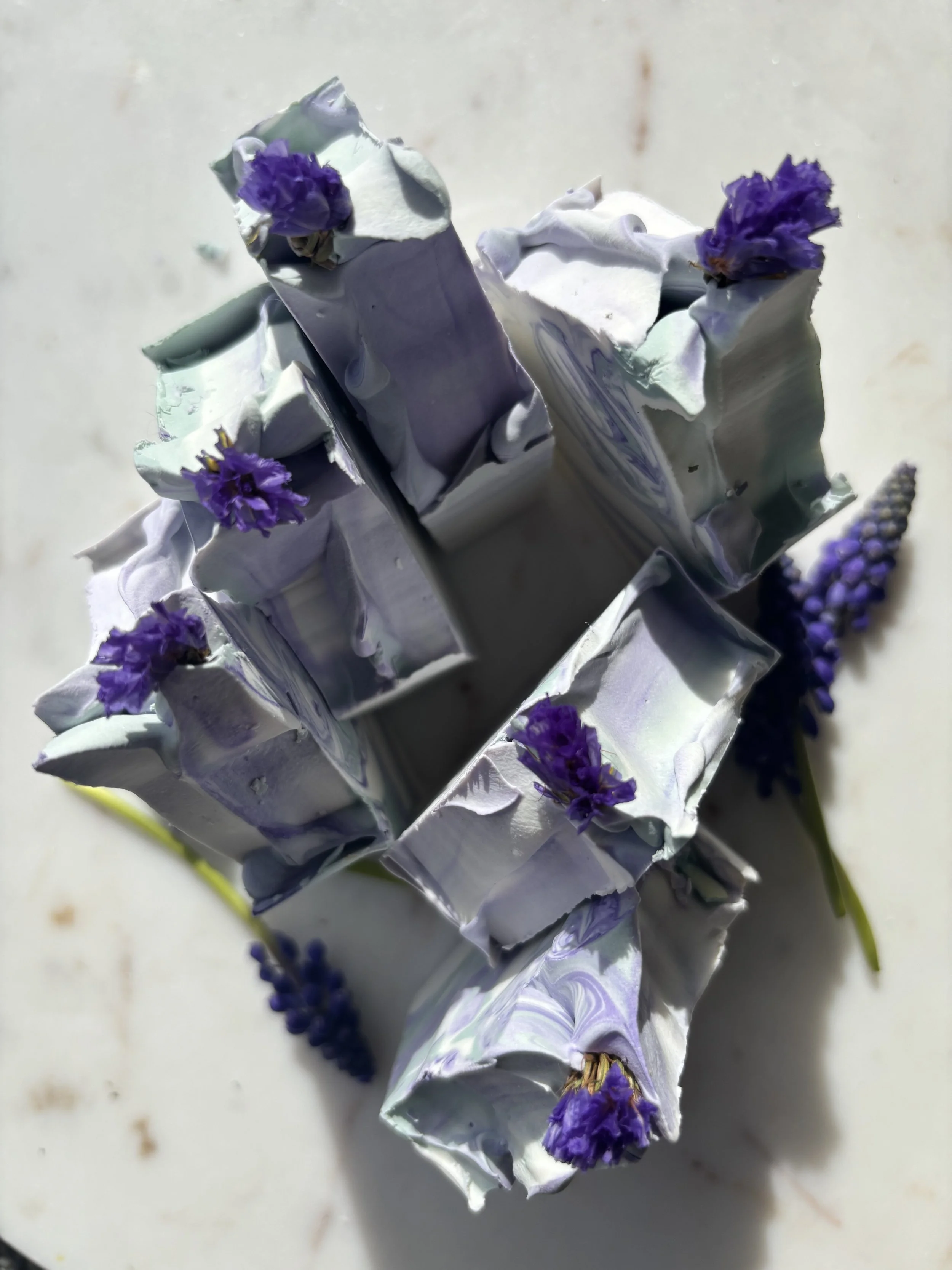 Iris Reverie  鸢尾幻境