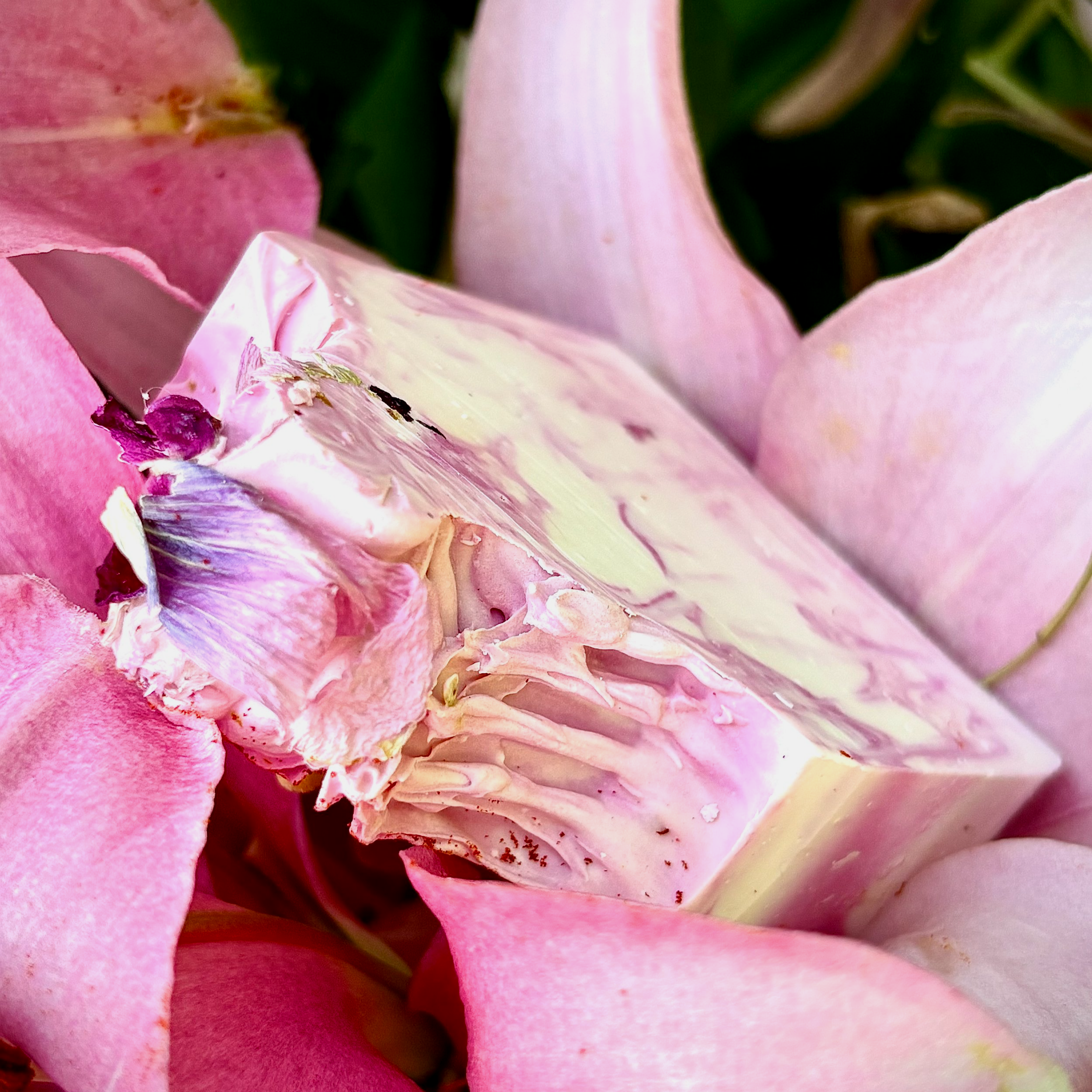 Close-up of a pink flower with a partly opened pink and white swirl soap bar or wax block placed among the petals.