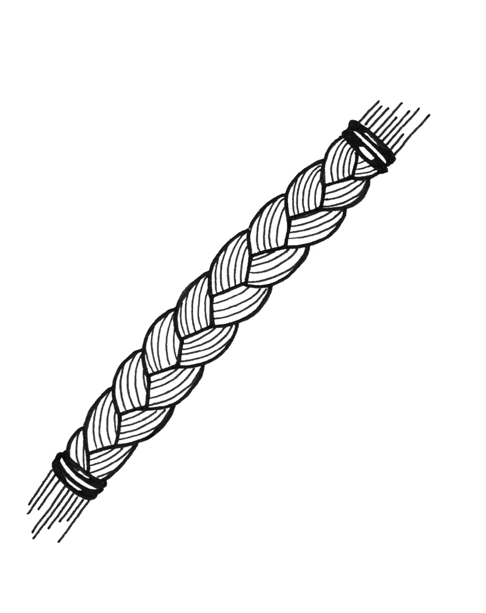 Sweetgrass BRaid 1.jpg