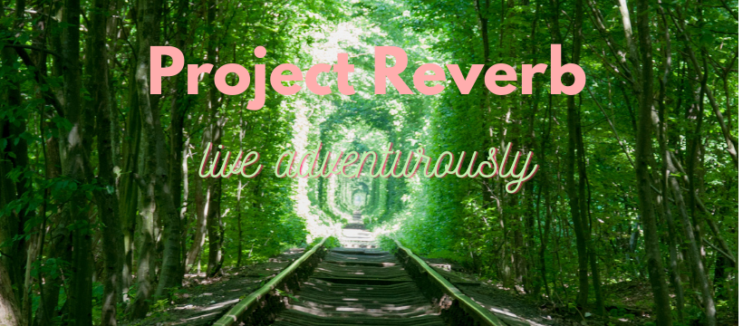 A lush green forest with a wooden train track leading into the distance, overlaid with pink and white text reading "Project Reverb" and "live adventurously."