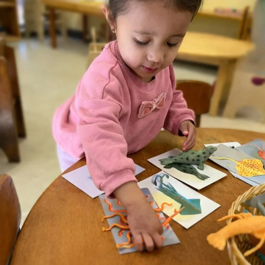 Toddler practicing coordination at a South Austin Montessori school near Zilker Park