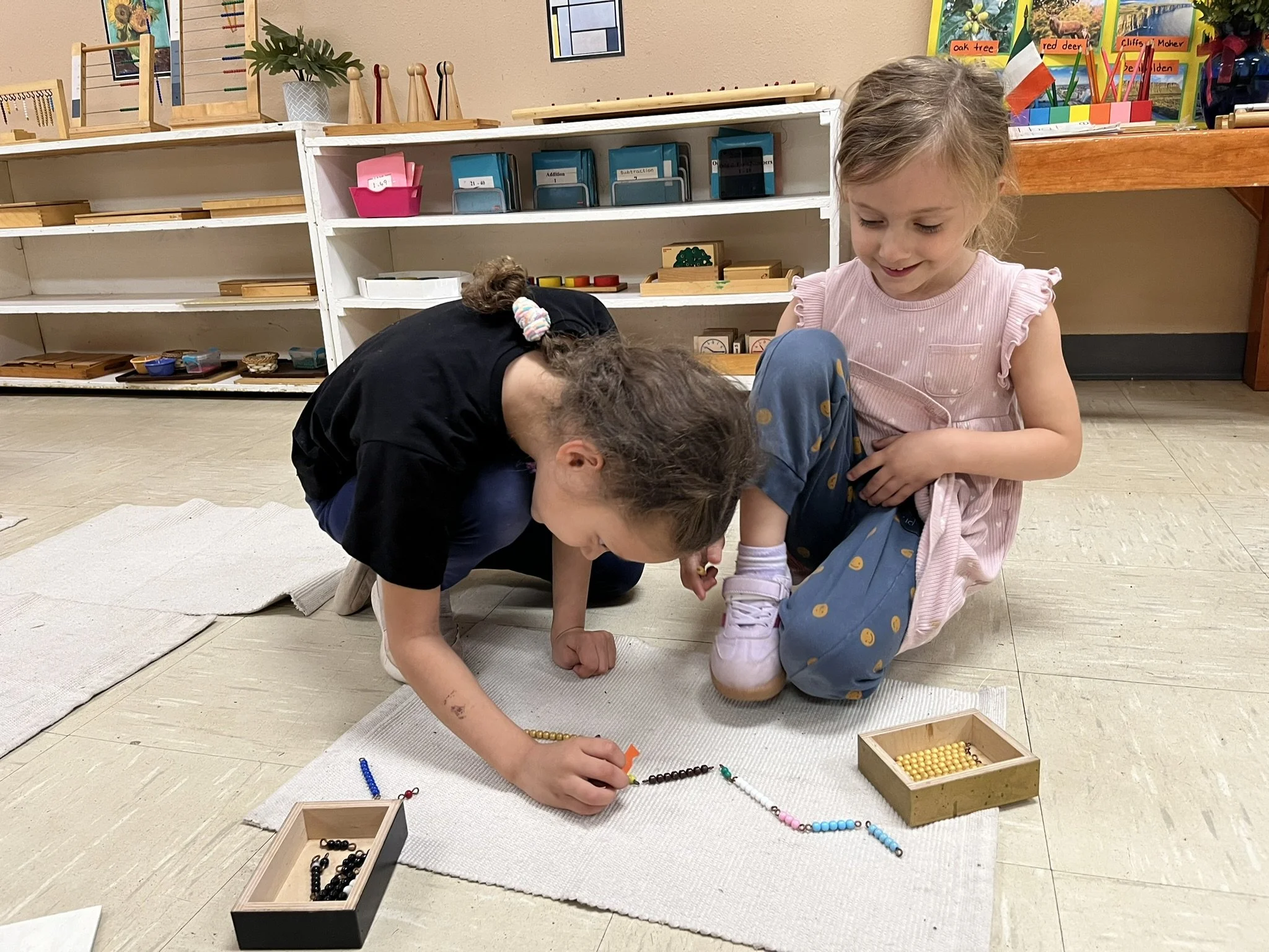 Montessori preschool students engaged in hands-on math work with bead materials in a prepared Montessori environment in Austin, Tx