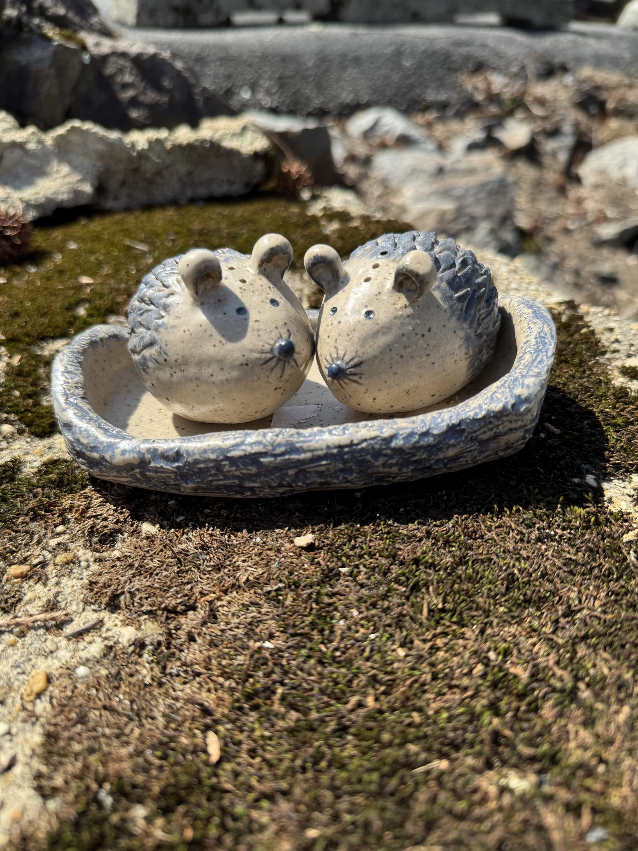 Hedgehog salt and pepper shakers
