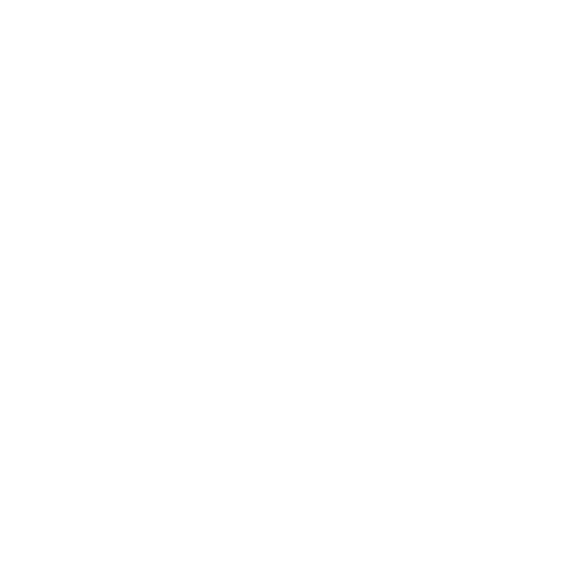 White icon of the YouTube logo.