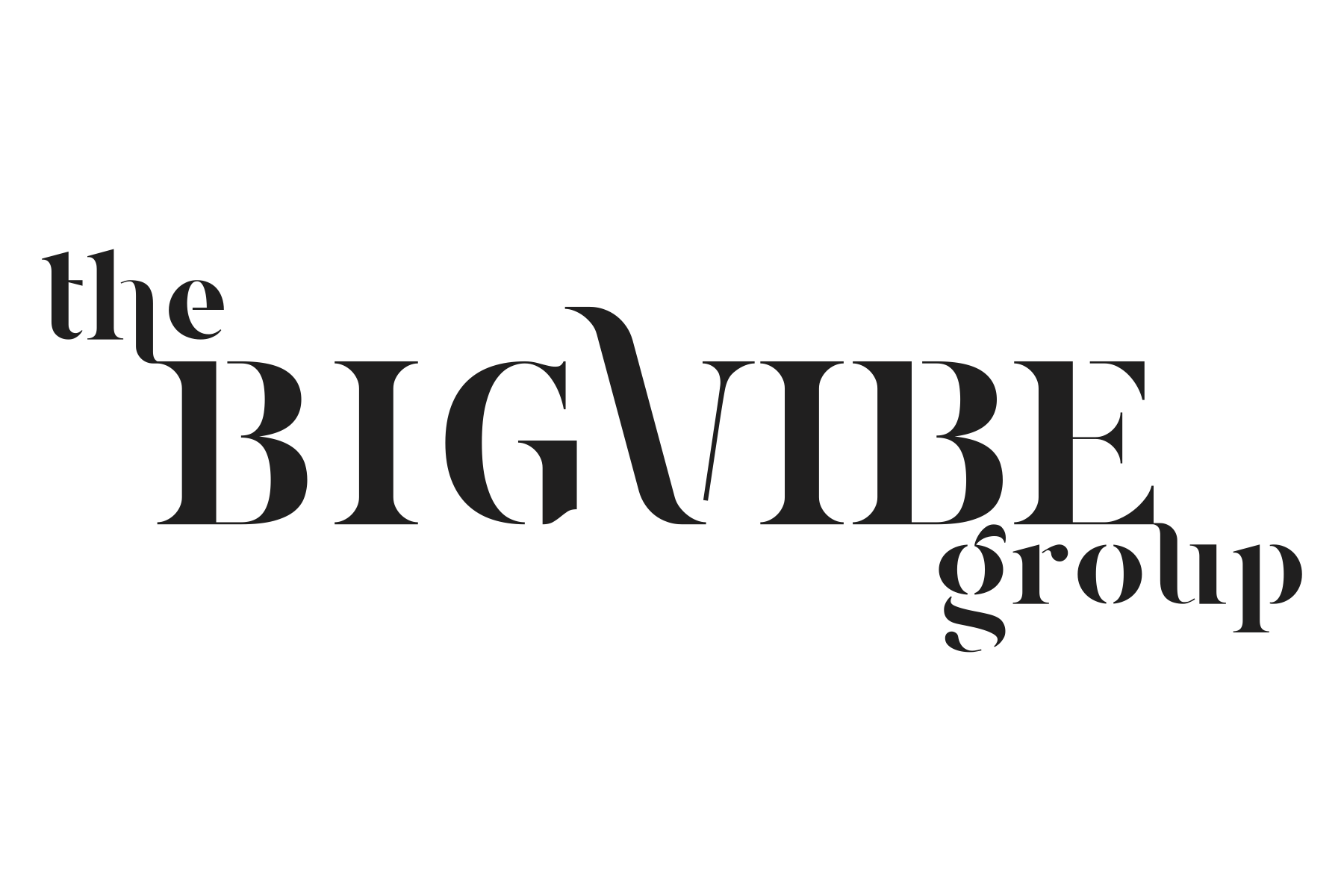 The Big Vibe Group Branding / Logo Design