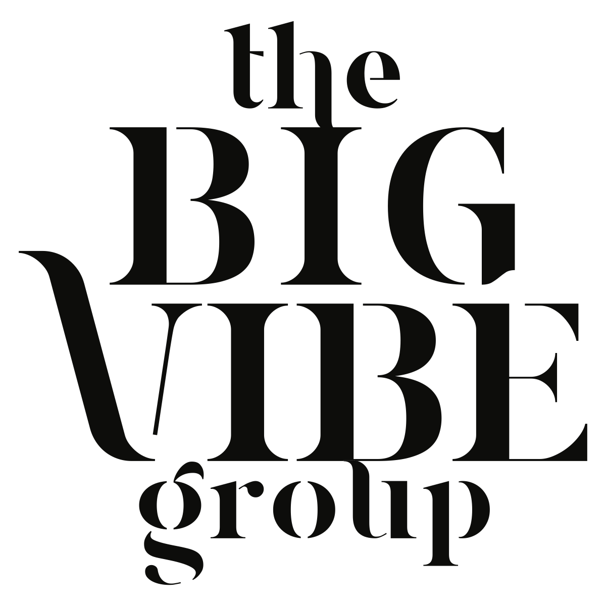 The Big Vibe Group Branding / Logo Design