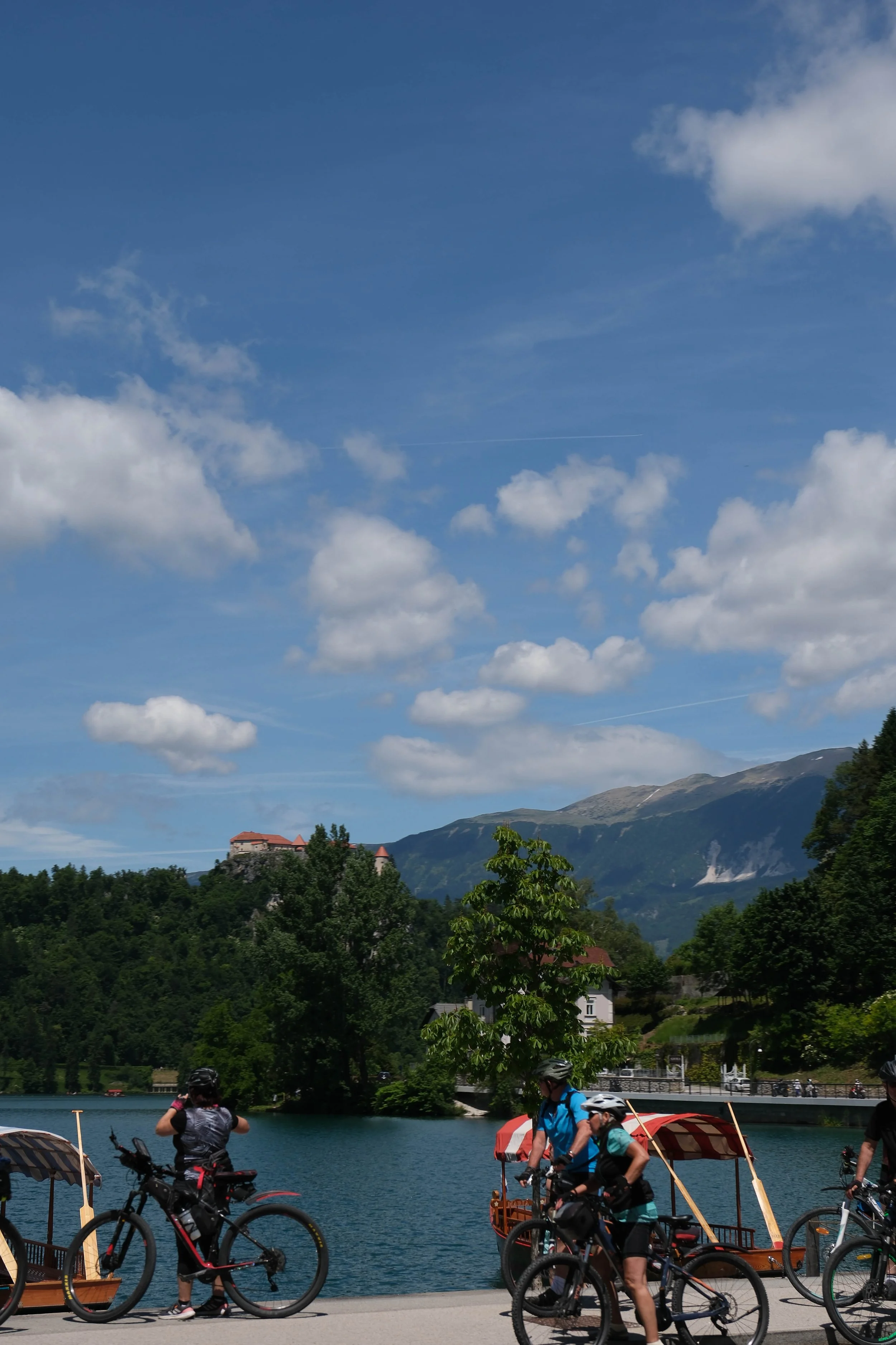 DSCF7892.jpg
