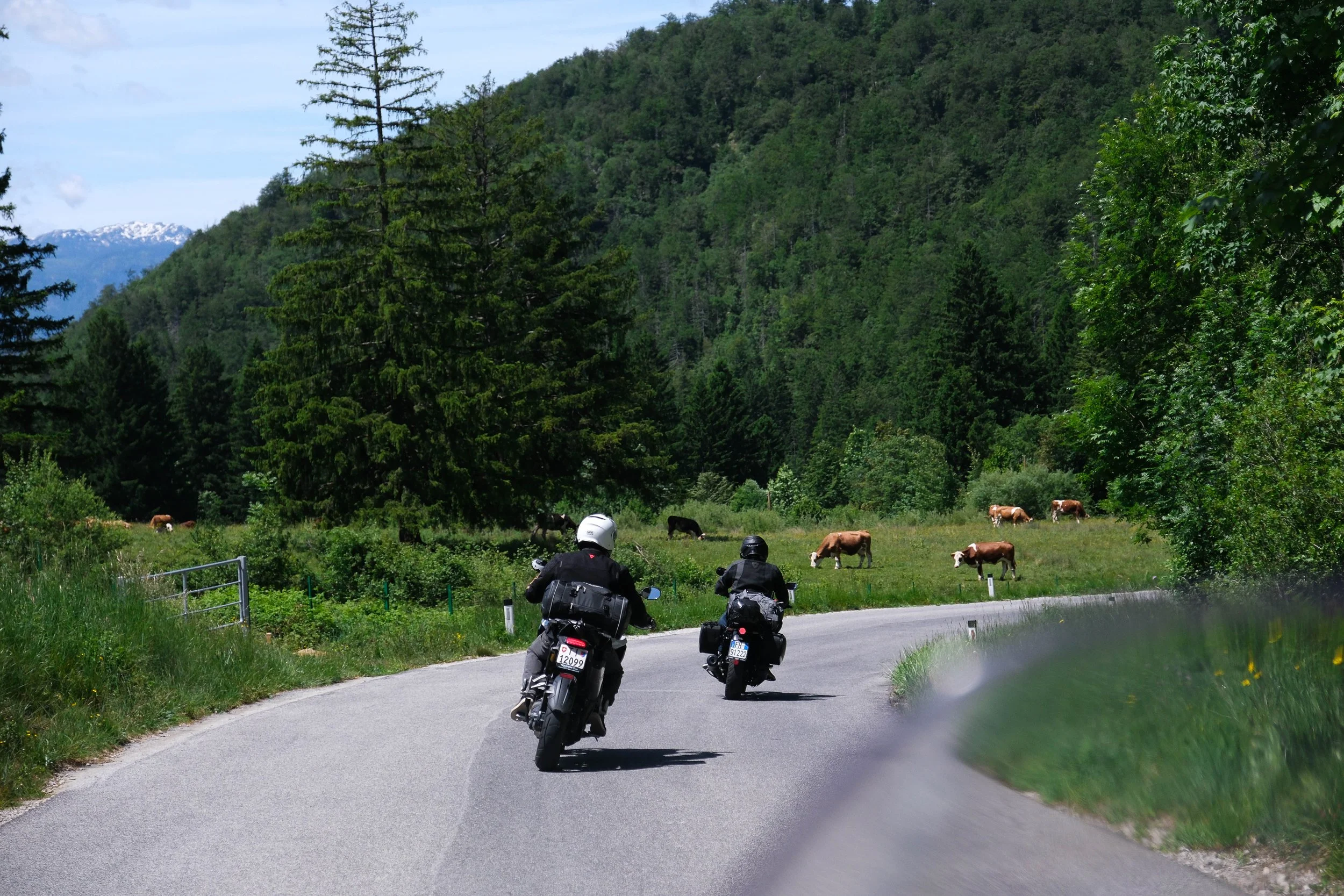 DSCF7879.jpg