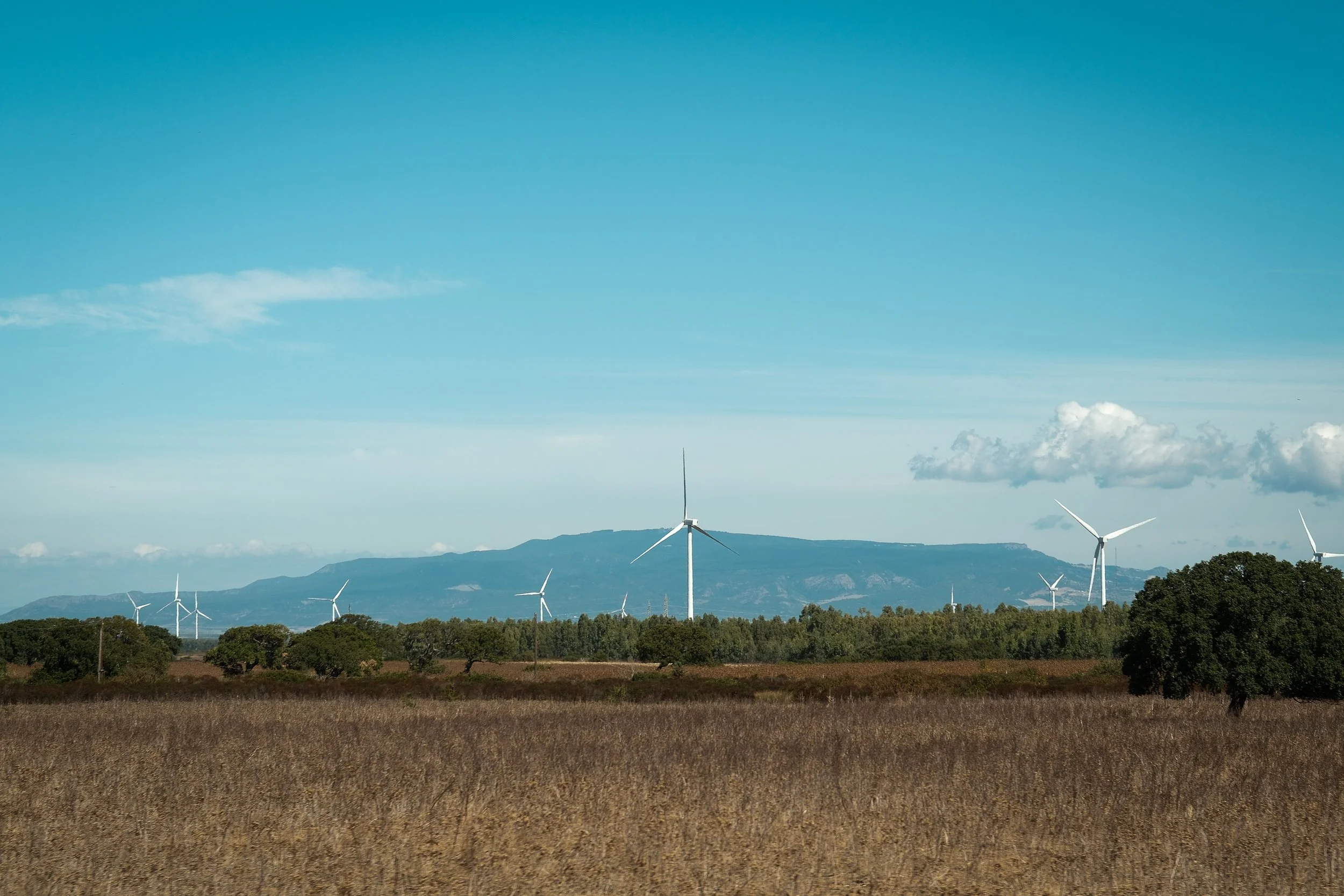 landscape-17.jpg