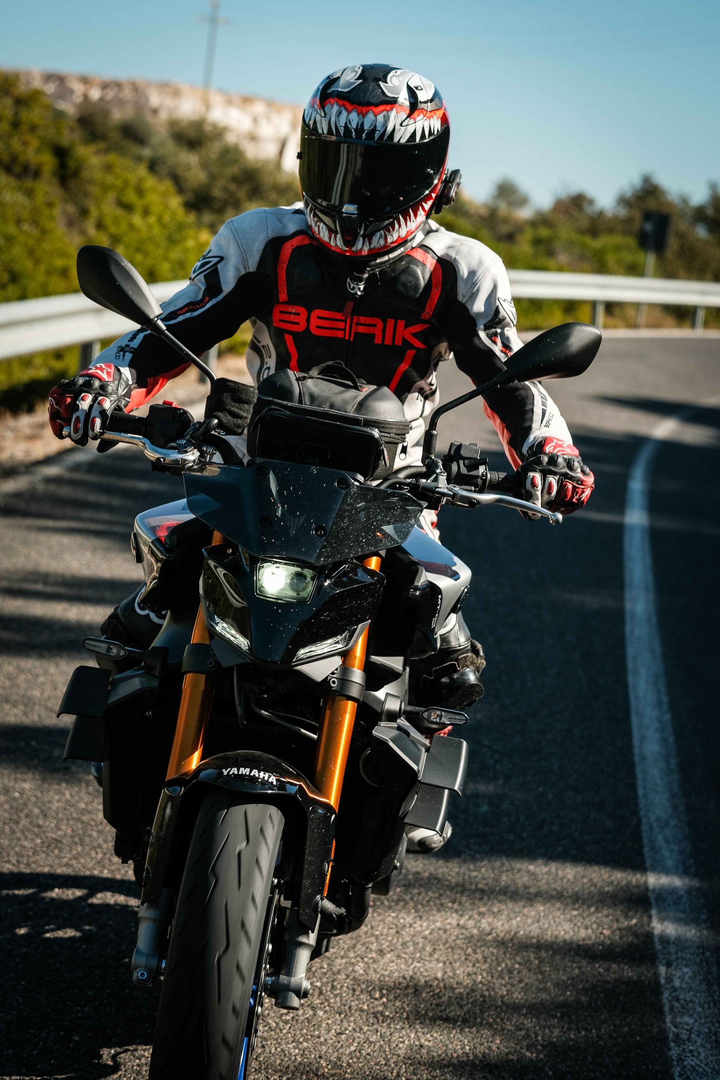 nicola bardini-10.jpg